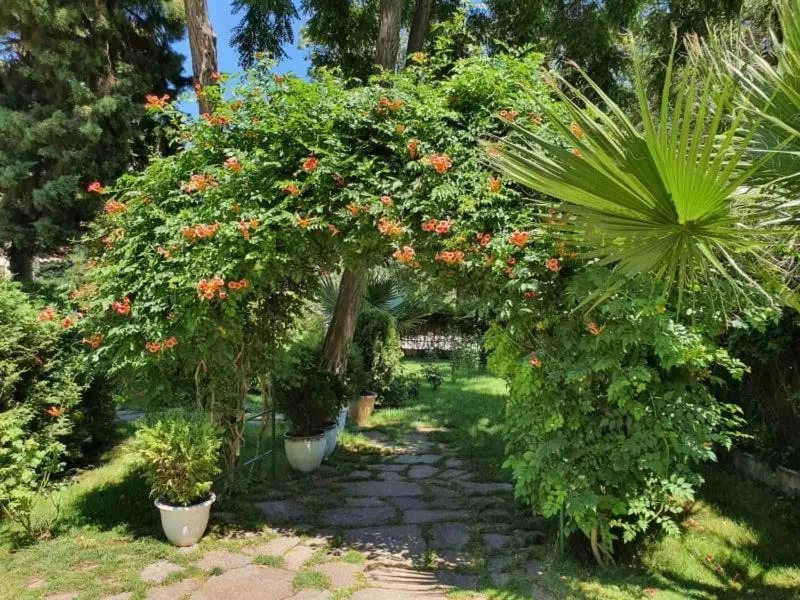 Hotel Riva Park - All Inclusive