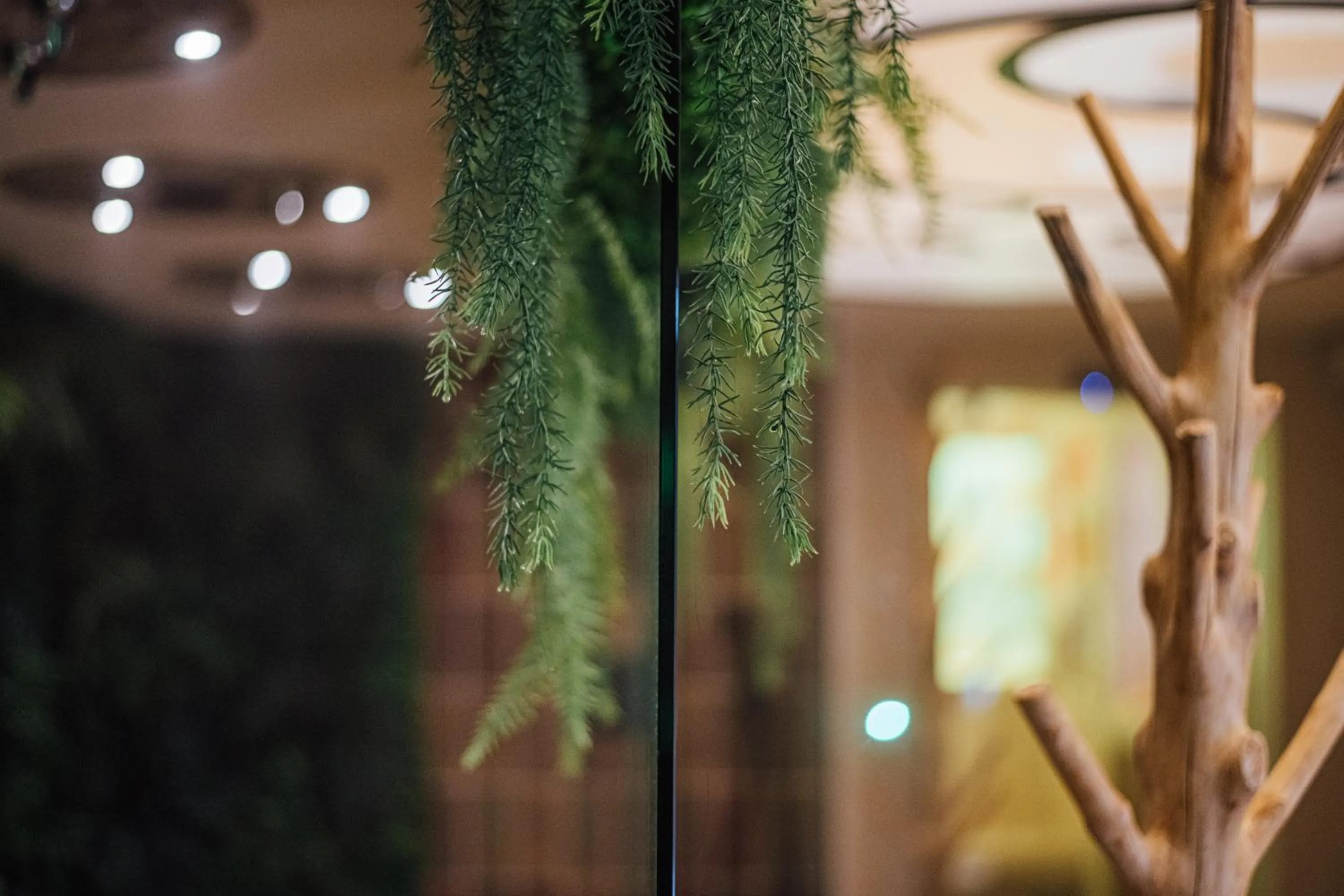 Spa and wellness centre/facilities in Hôtel de la Loze