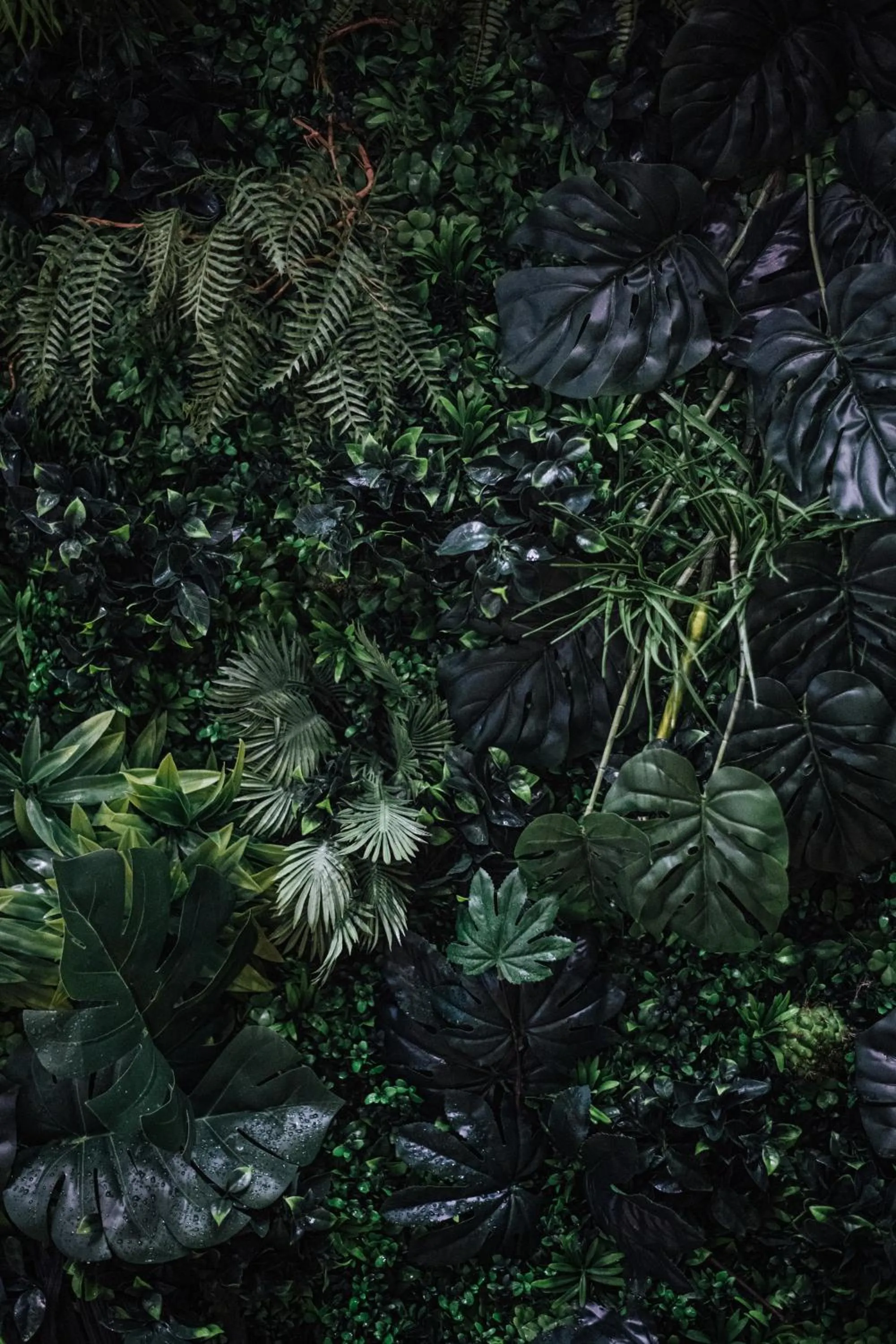 Spa and wellness centre/facilities in Hôtel de la Loze