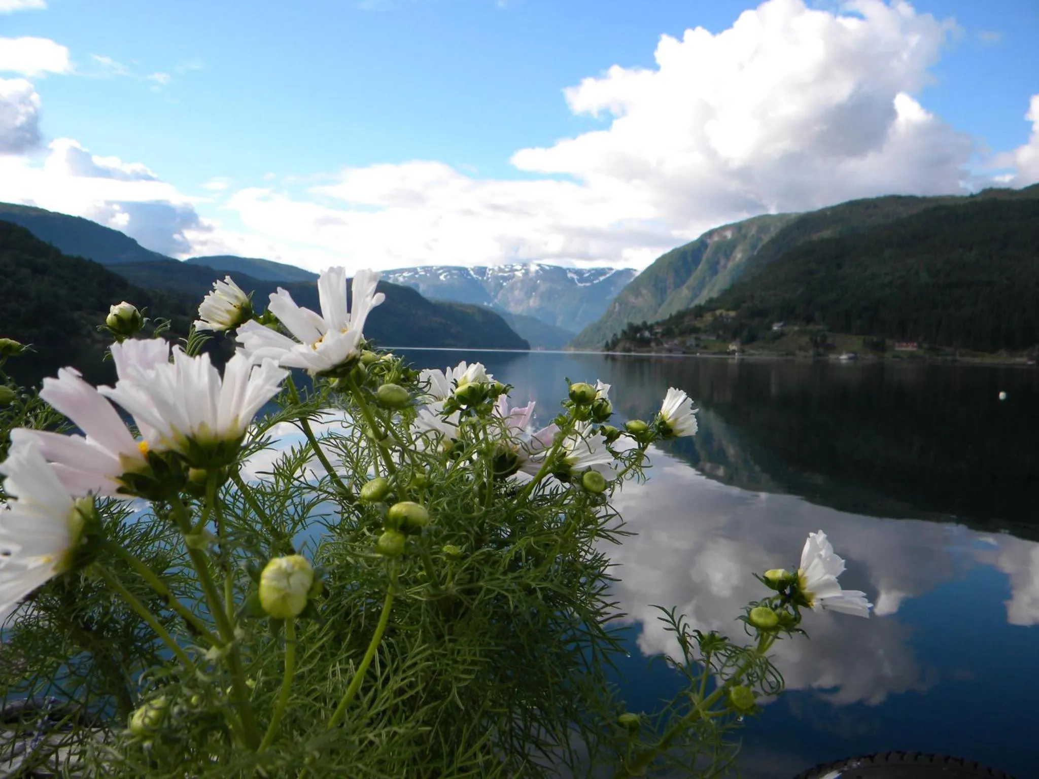 Natural landscape in Brakanes Hotel