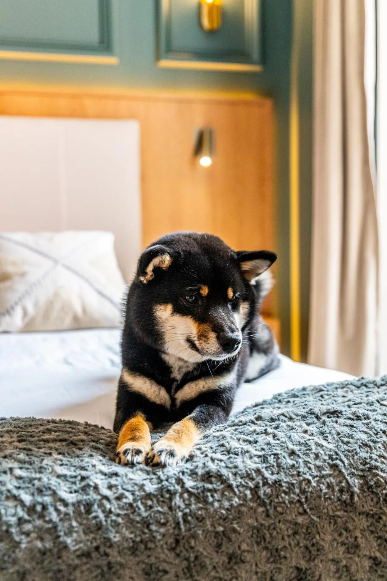Animals, Bed in Hotel Relais De La Cote D'or