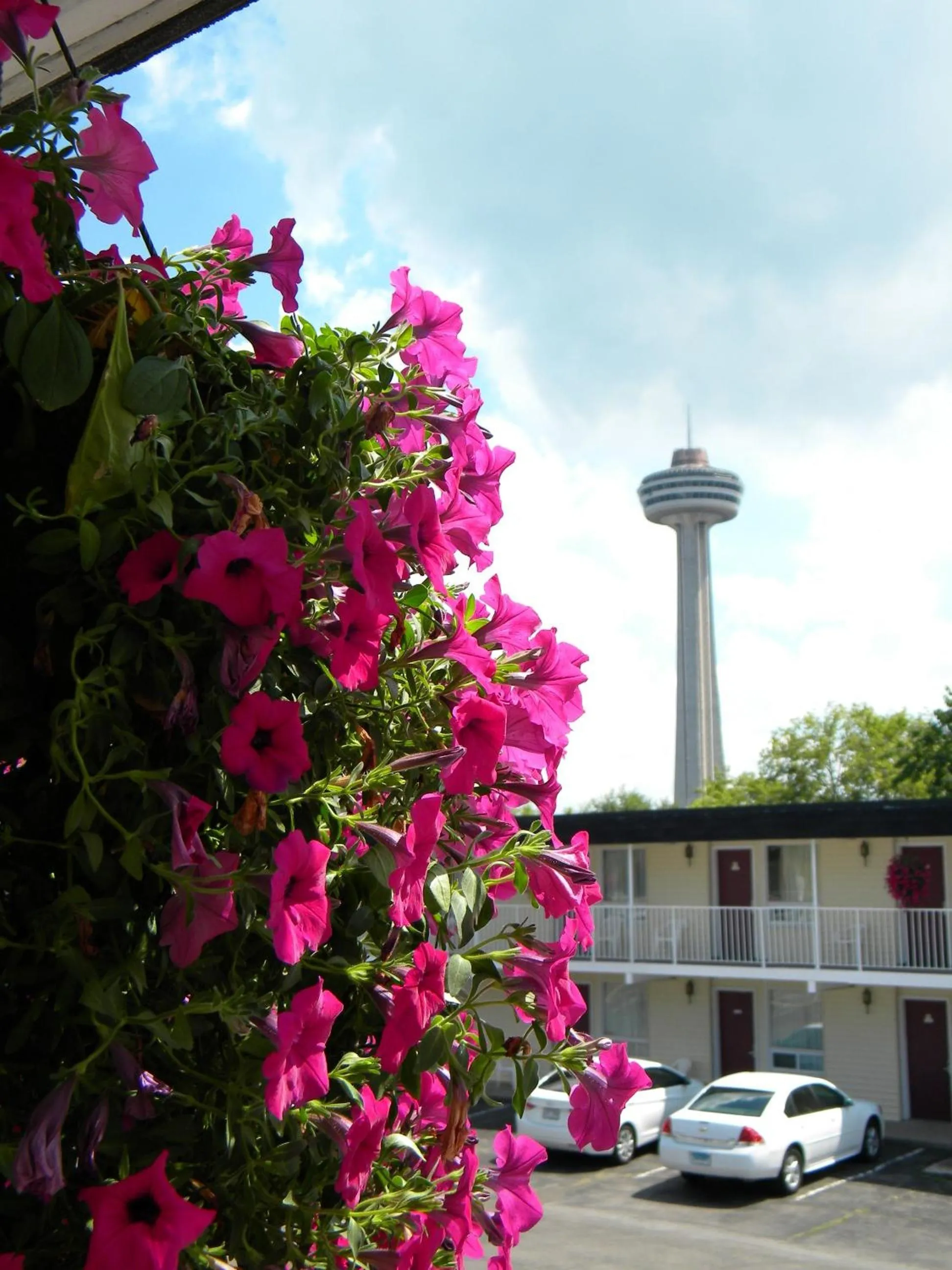 Facade/entrance in Fairway Inn by the Falls