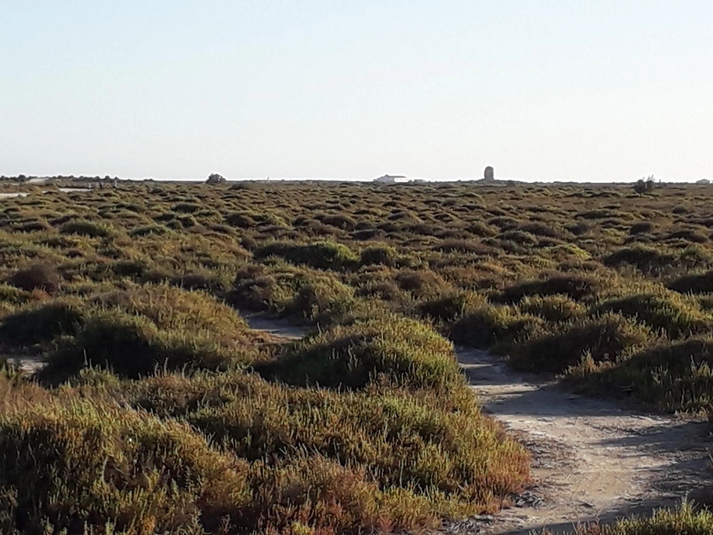 Hiking in Fenix Apartamentos