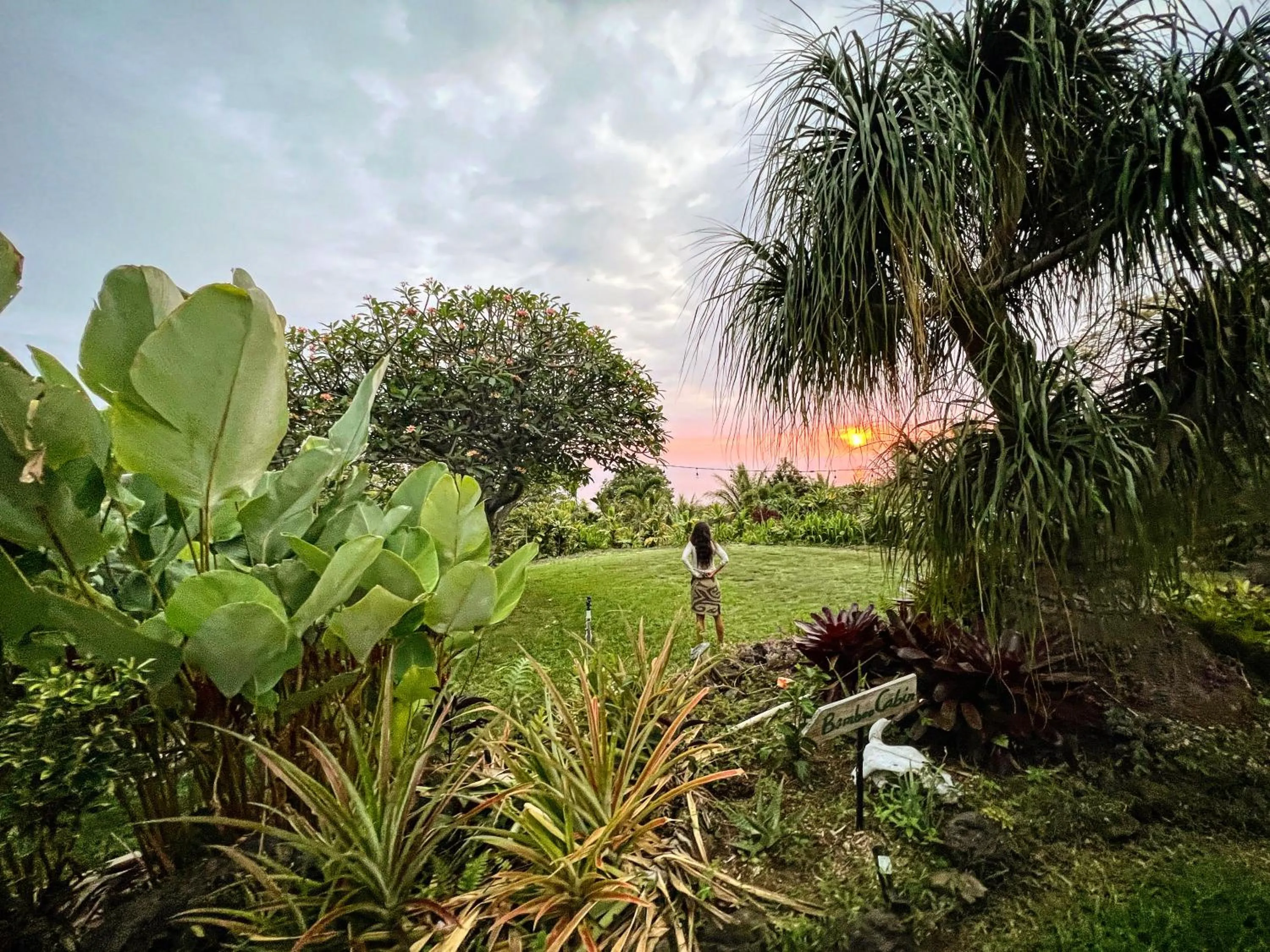View (from property/room) in Gingerhill Farm Retreat