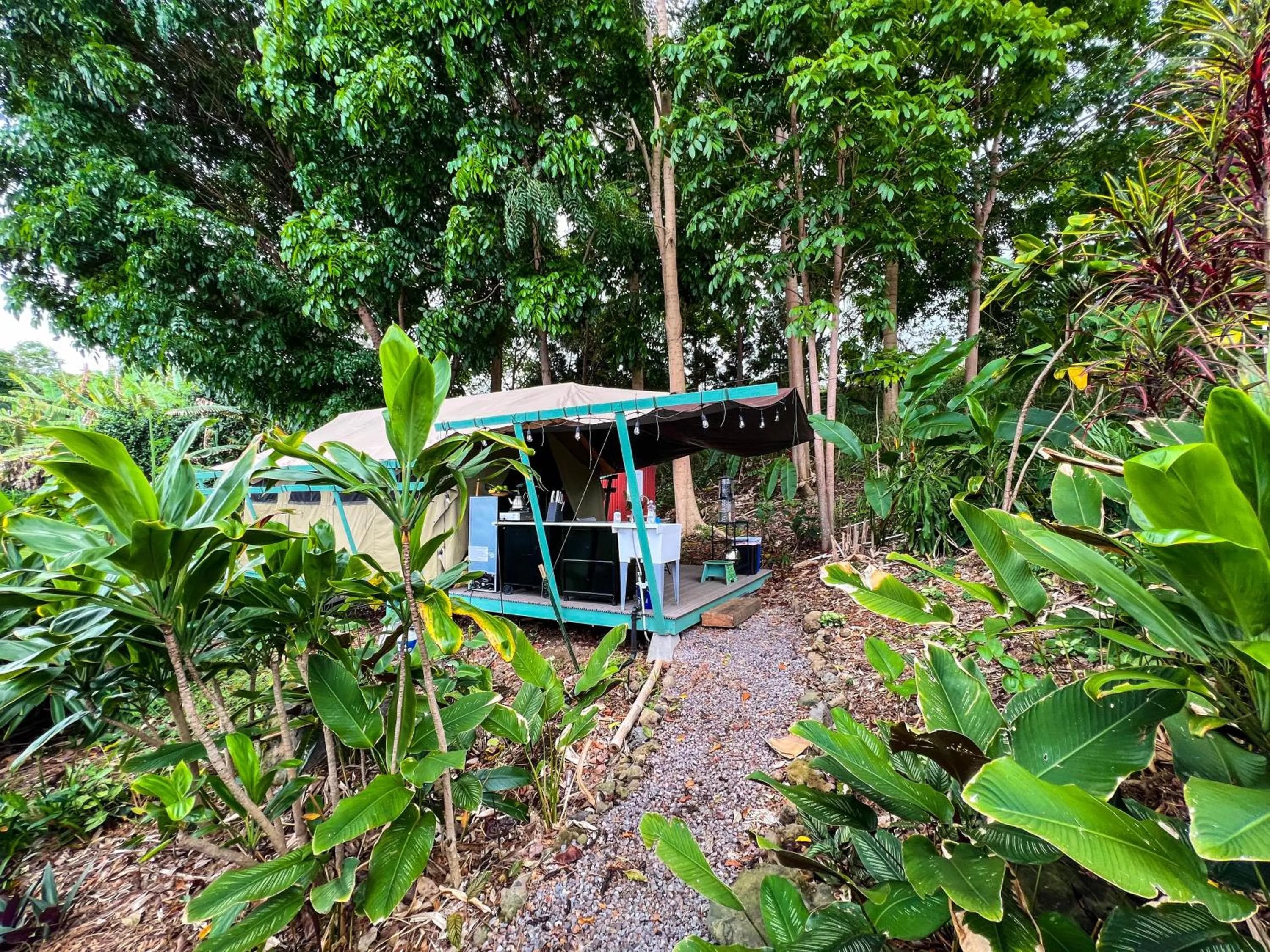 Natural landscape in Gingerhill Farm Retreat