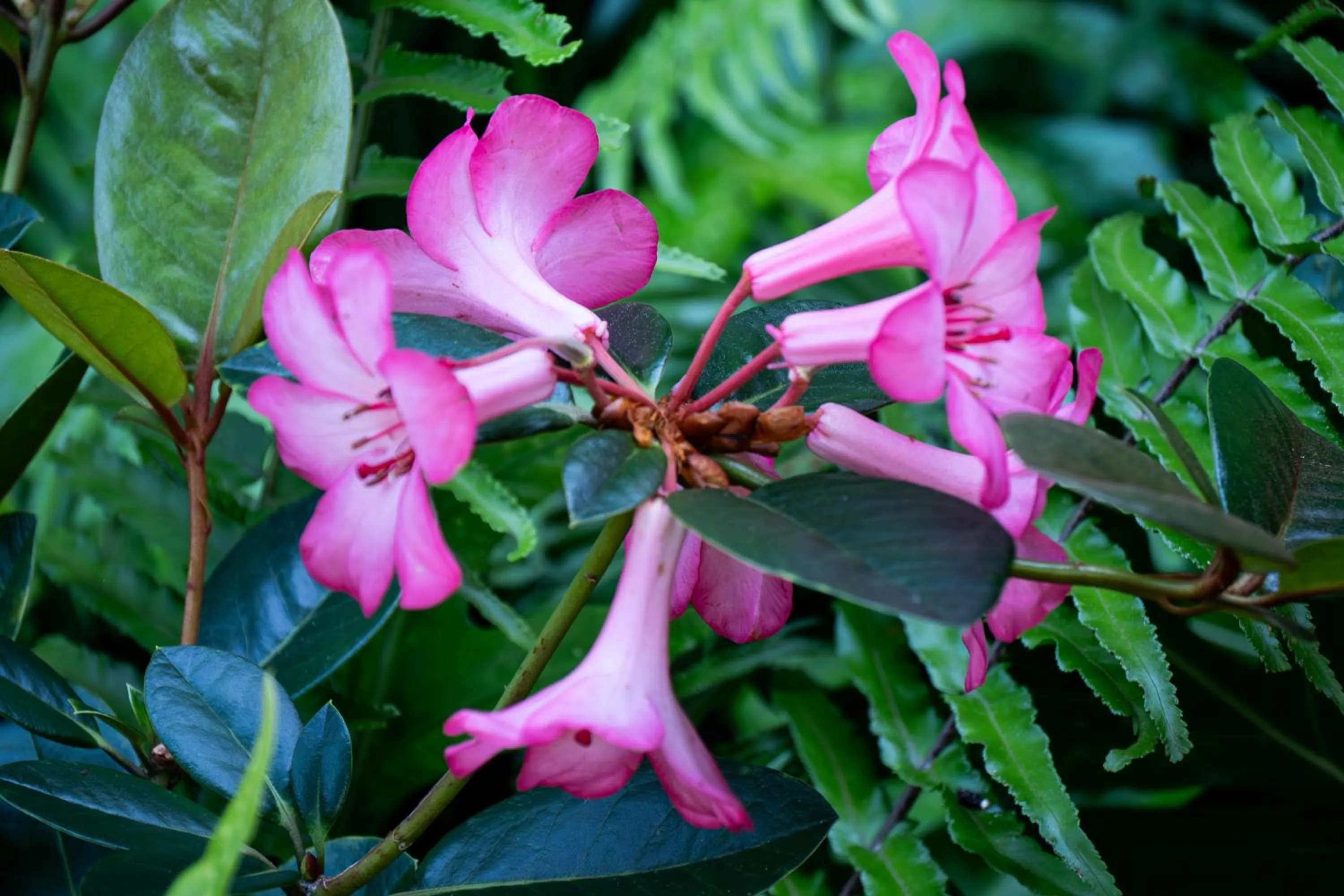 Decorative detail in Gingerhill Farm Retreat