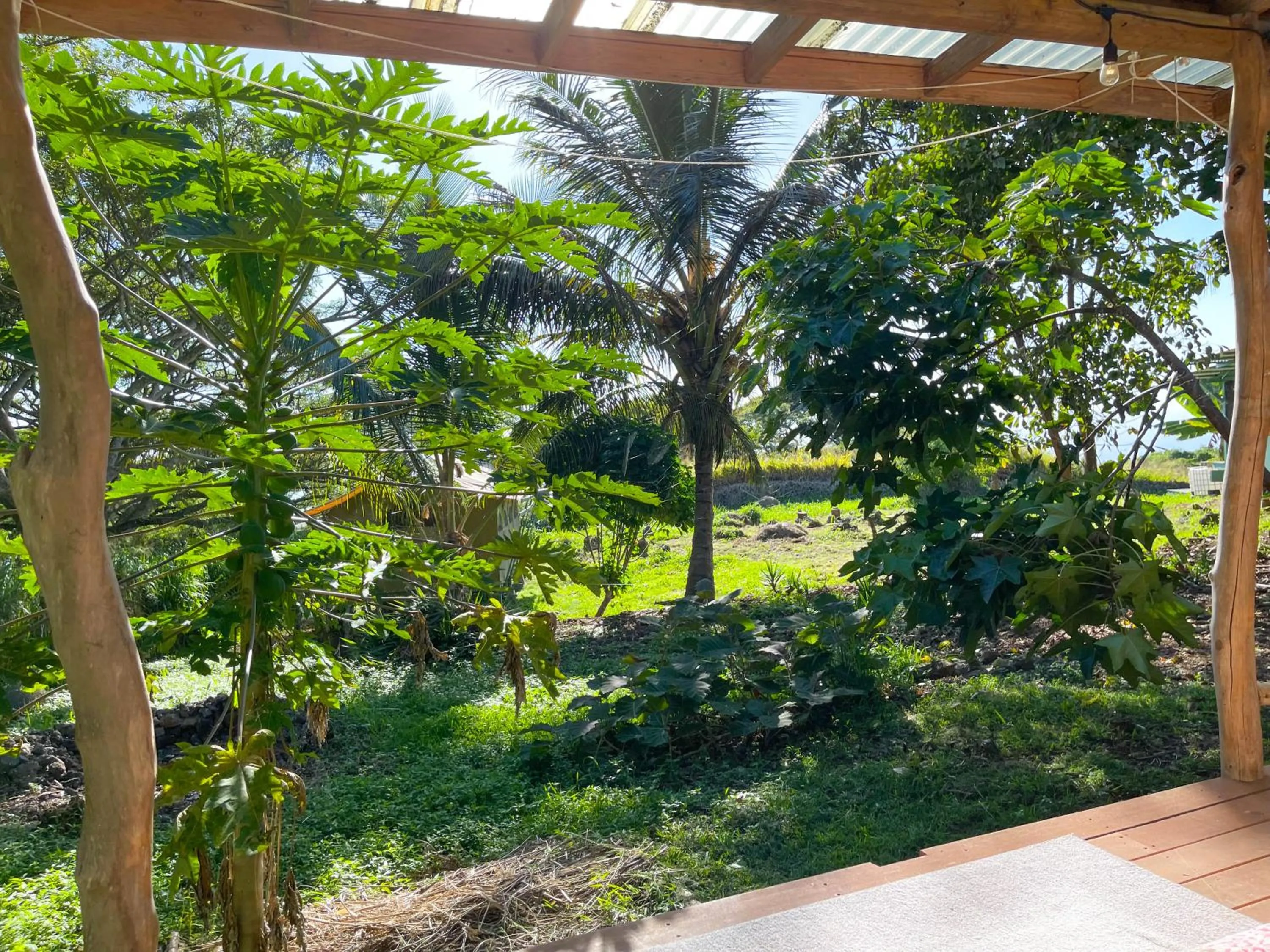 View (from property/room) in Gingerhill Farm Retreat