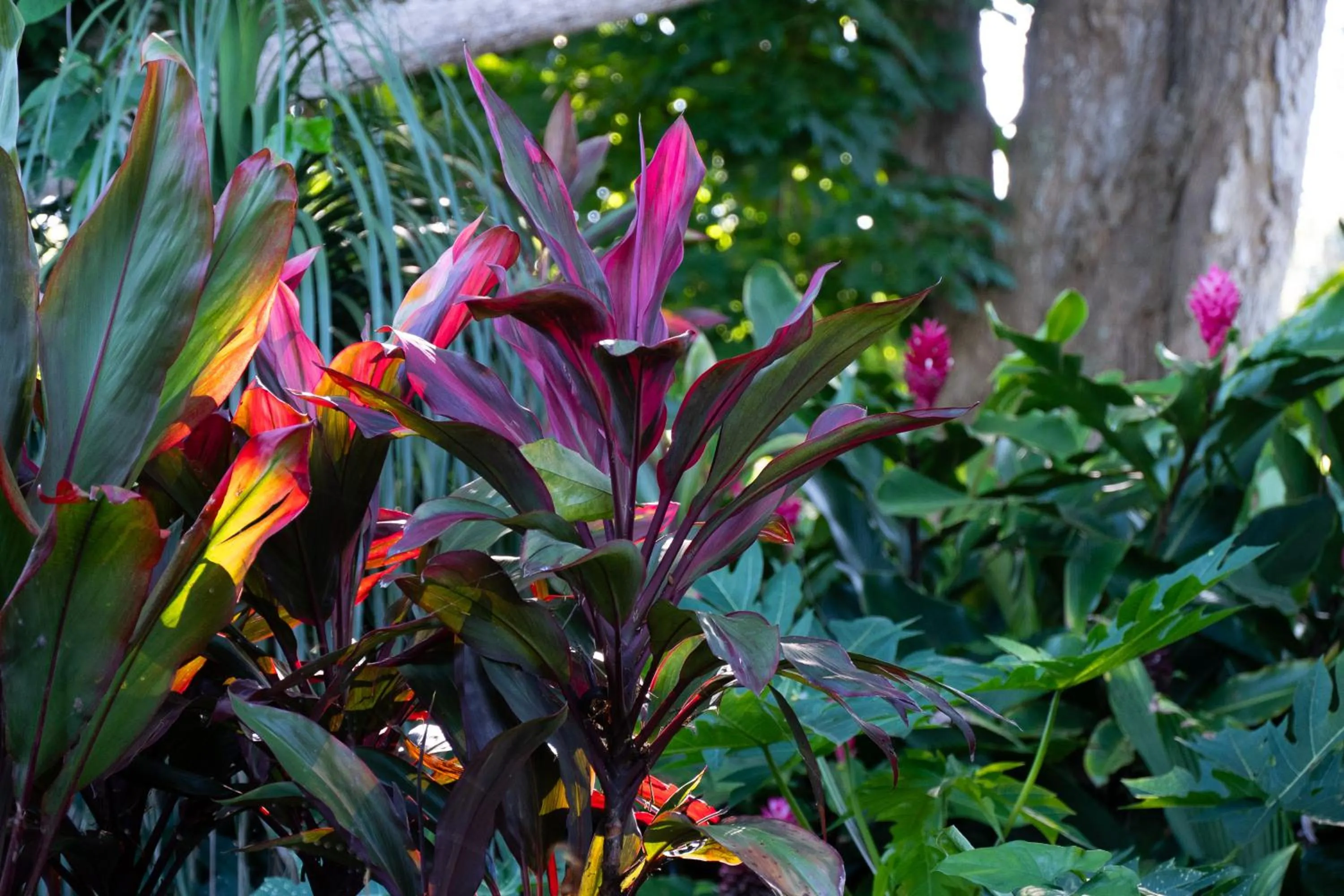 Decorative detail in Gingerhill Farm Retreat