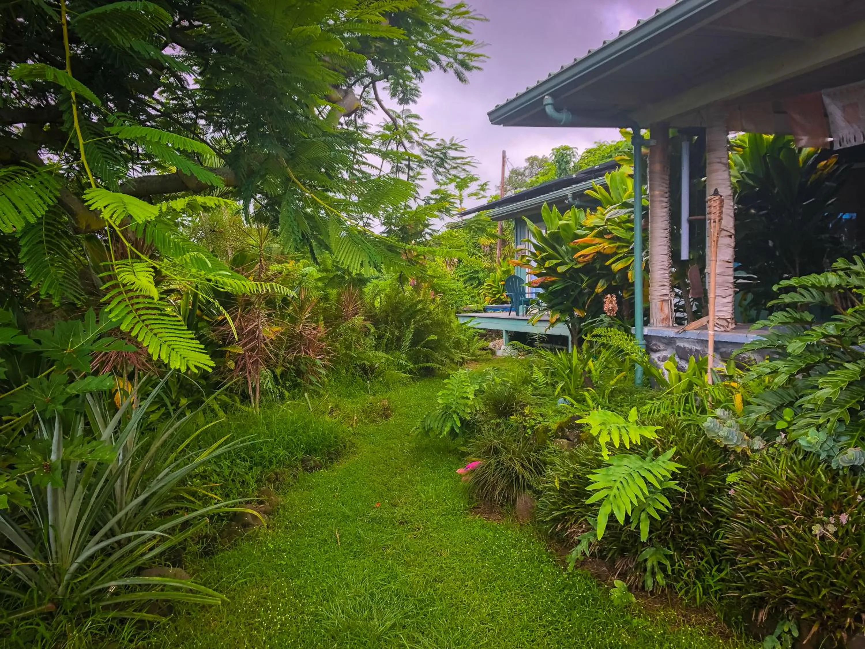 Garden in Gingerhill Farm Retreat