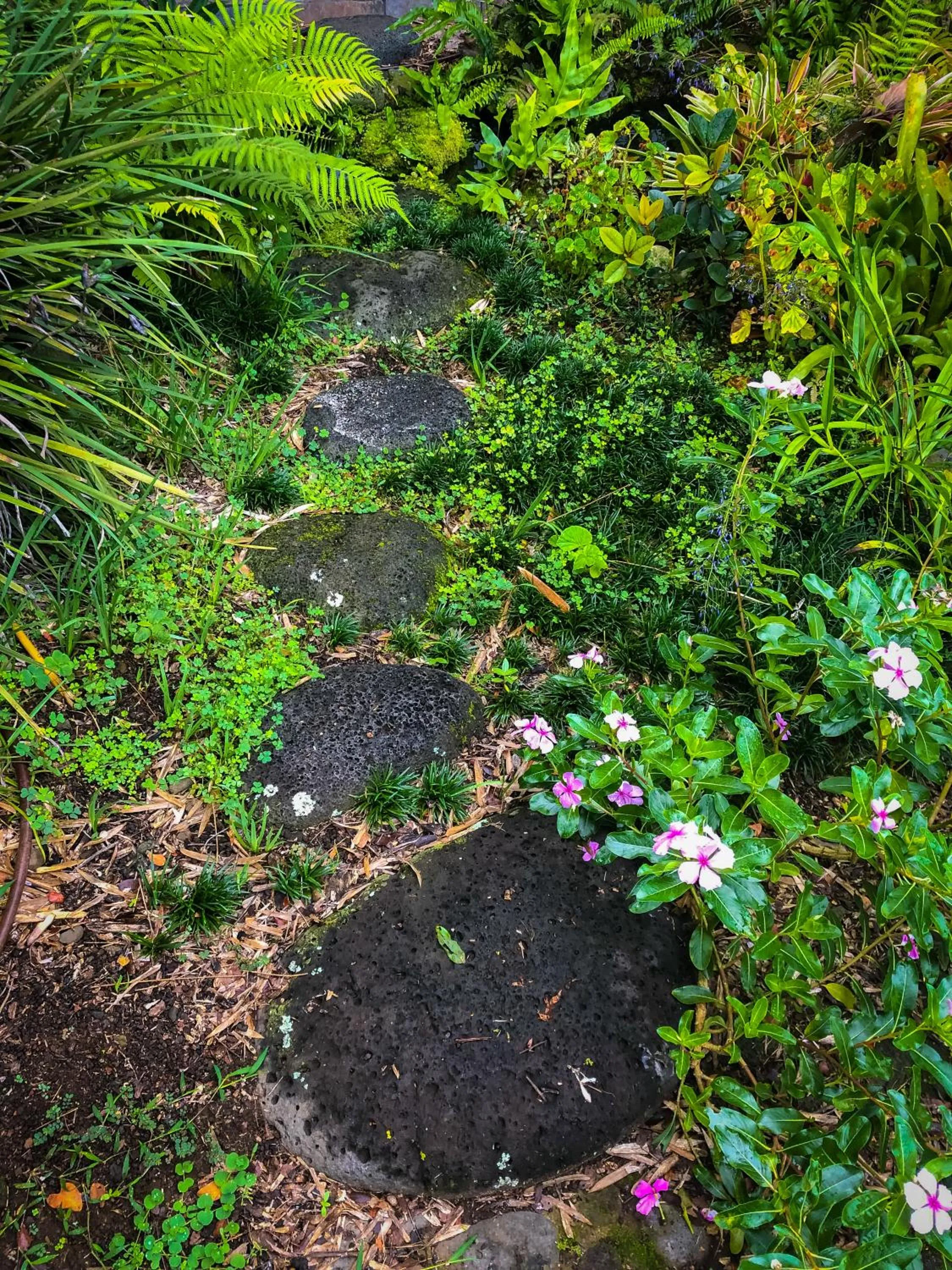 Natural landscape in Gingerhill Farm Retreat