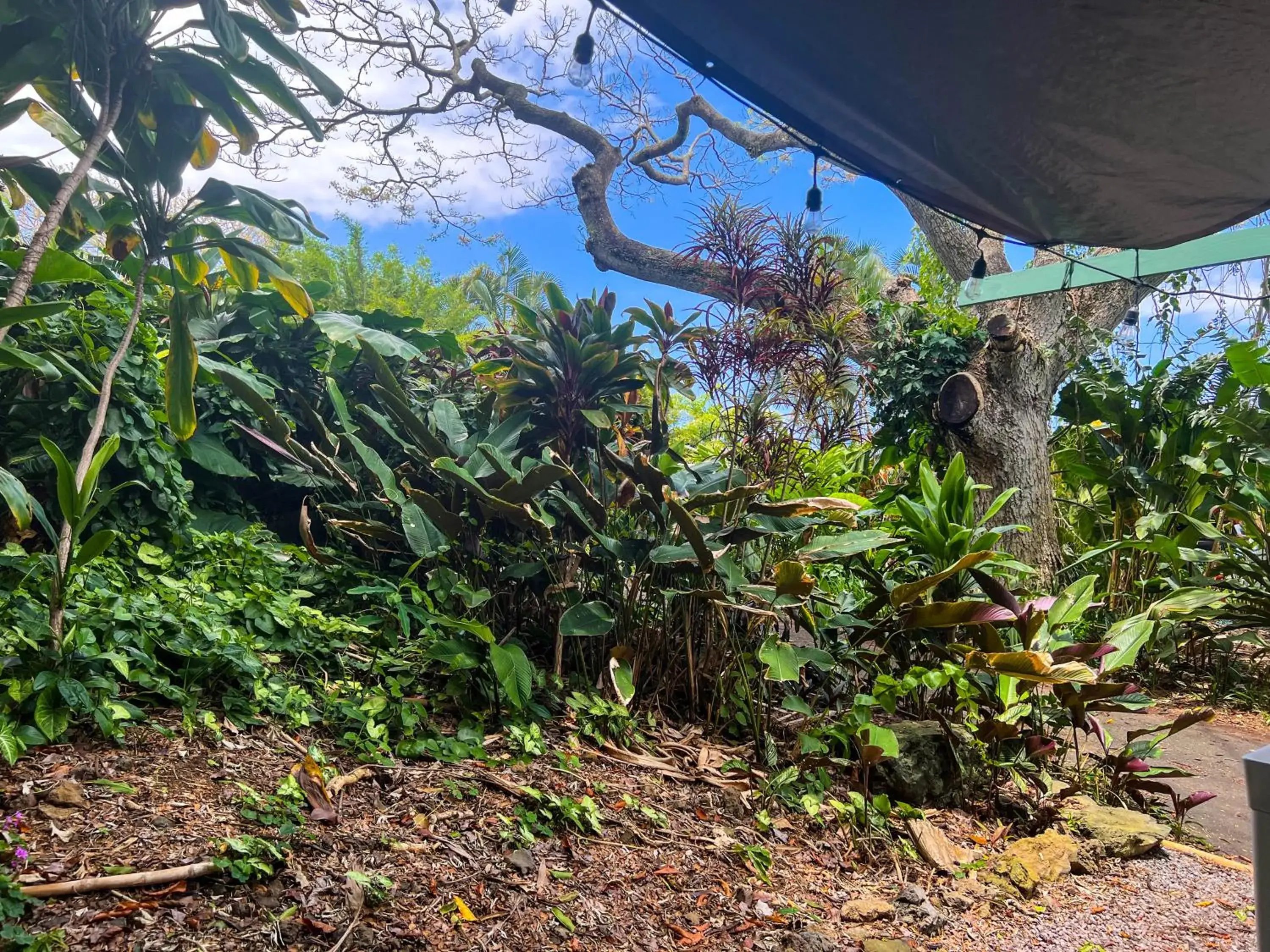 Double Room in Gingerhill Farm Retreat Double Room in Gingerhill Farm Retreat