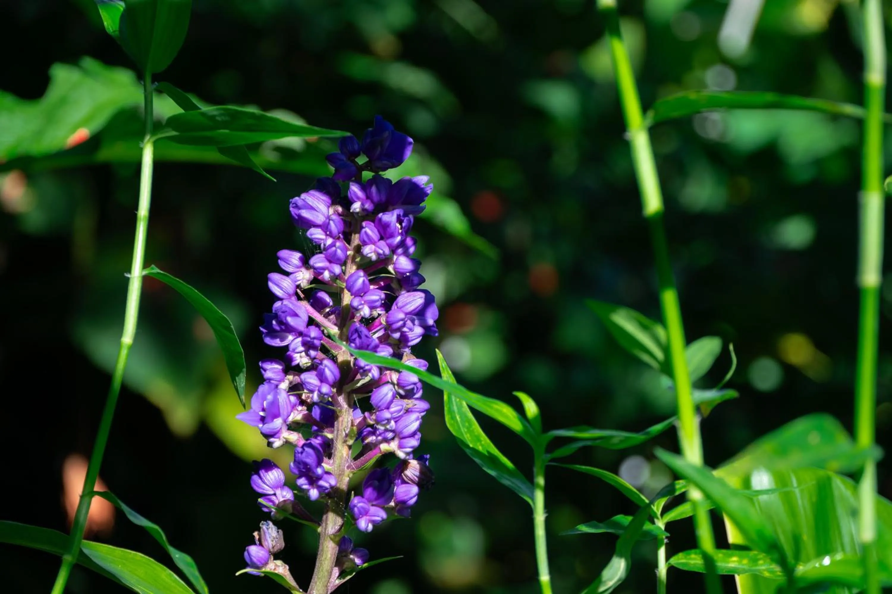 Decorative detail in Gingerhill Farm Retreat