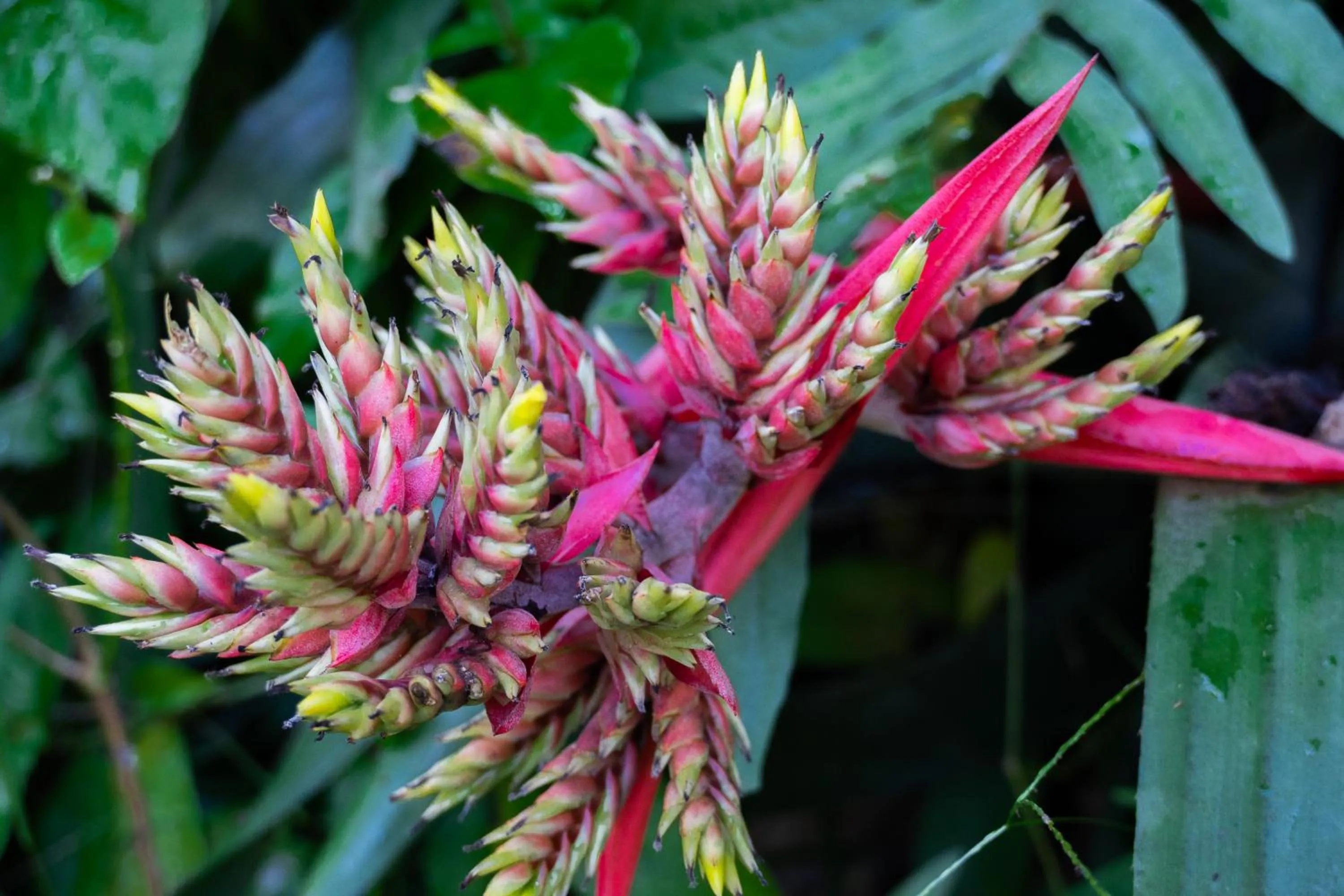 Decorative detail in Gingerhill Farm Retreat