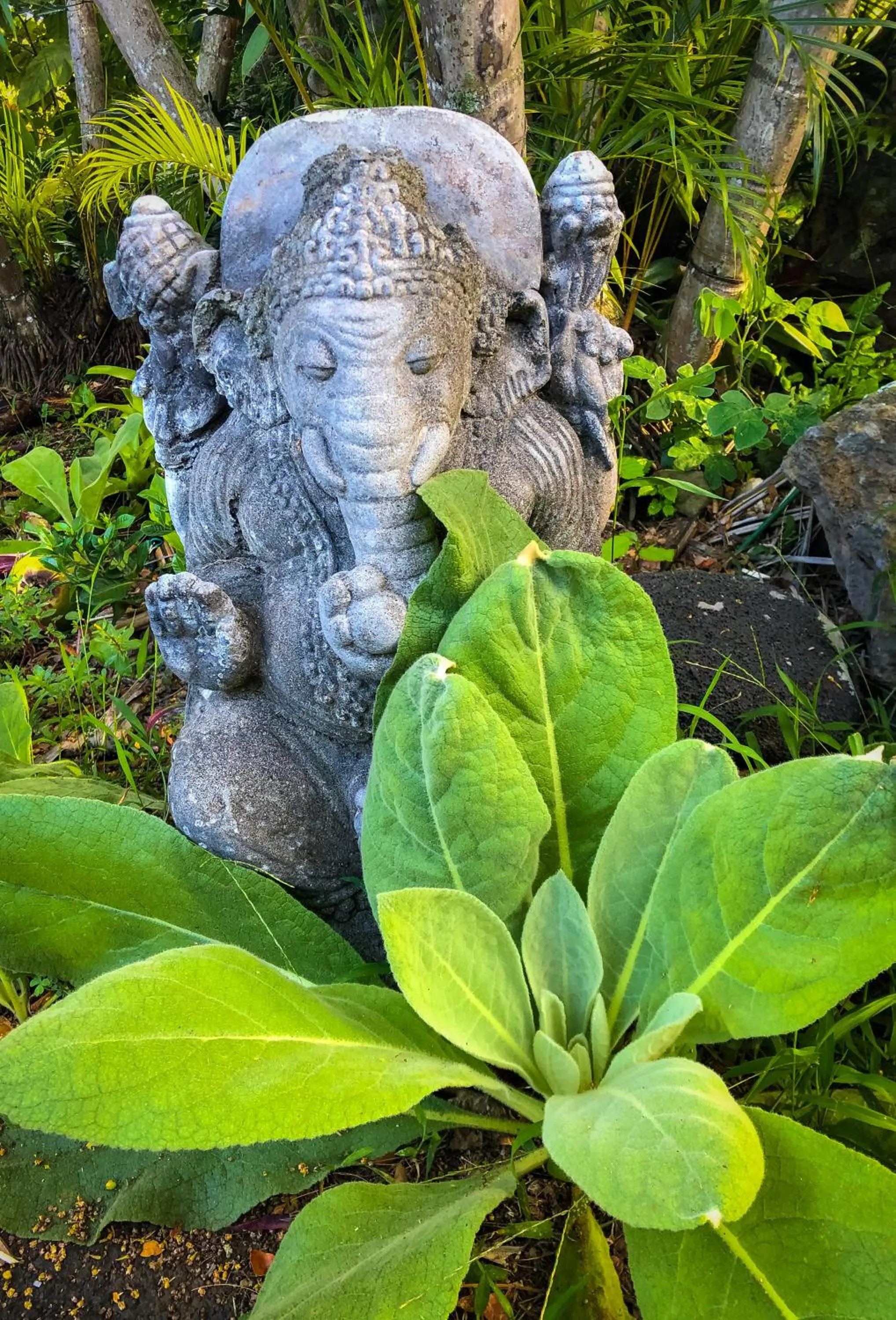 Garden in Gingerhill Farm Retreat