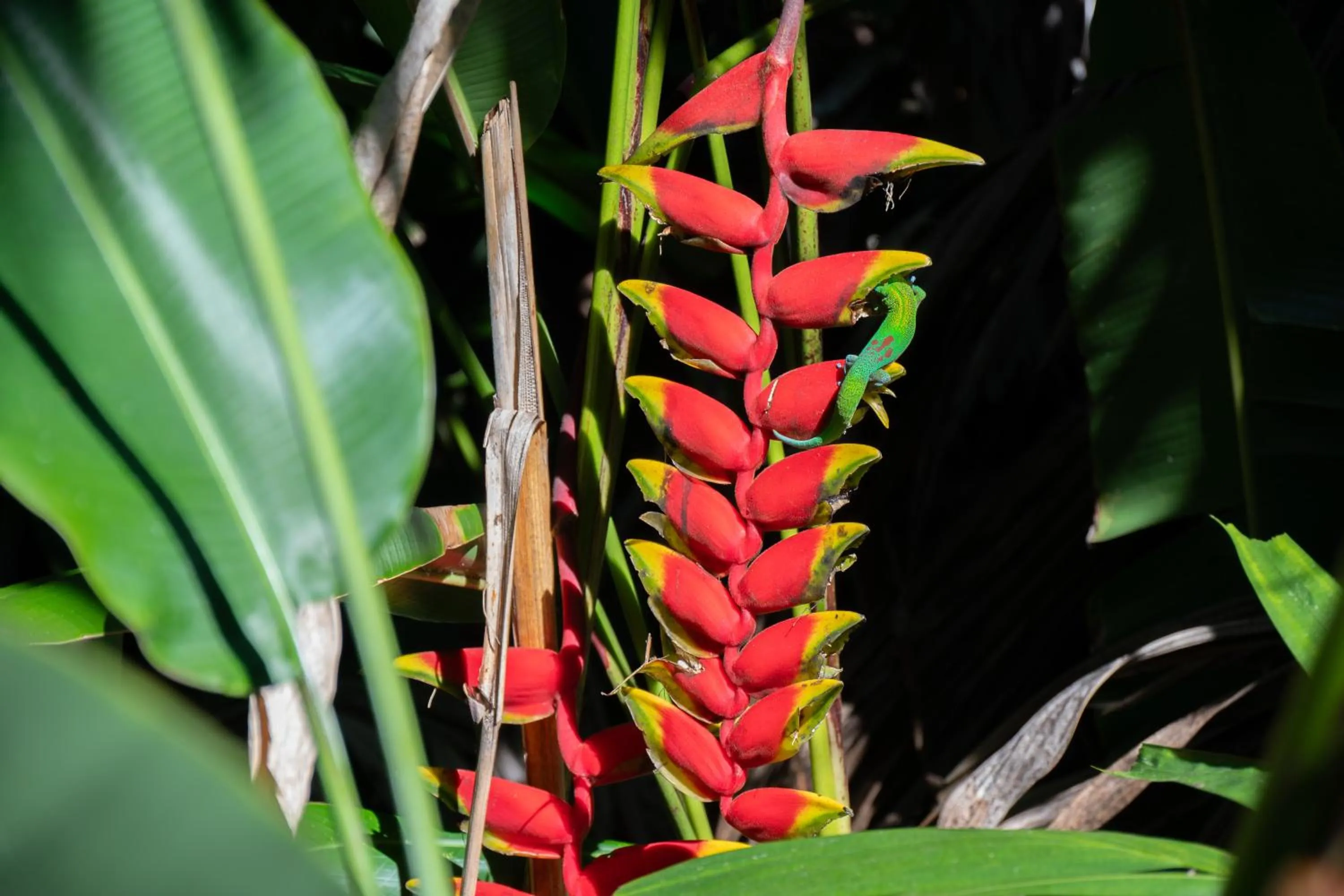 Decorative detail in Gingerhill Farm Retreat