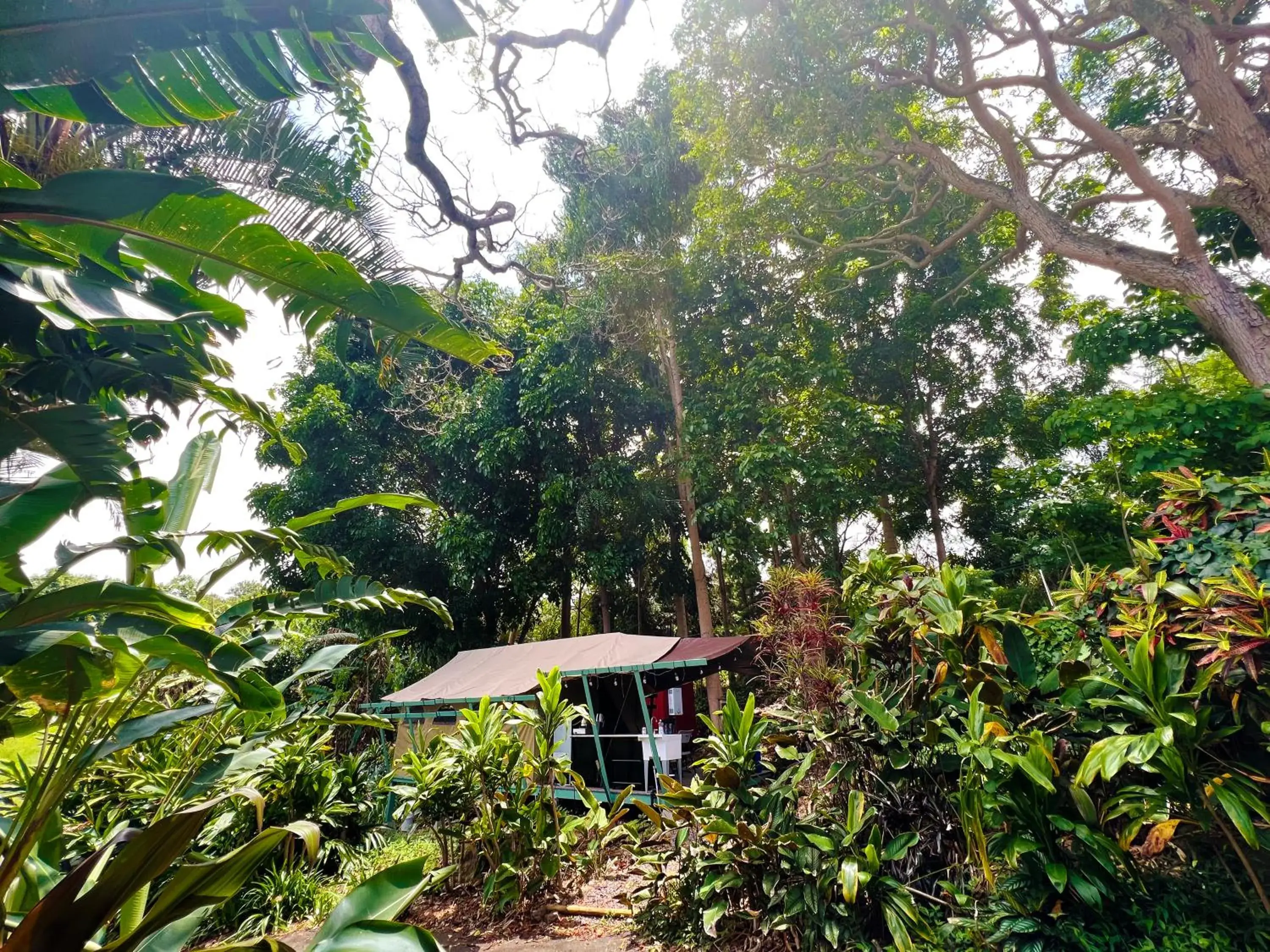 Double Room in Gingerhill Farm Retreat Double Room in Gingerhill Farm Retreat