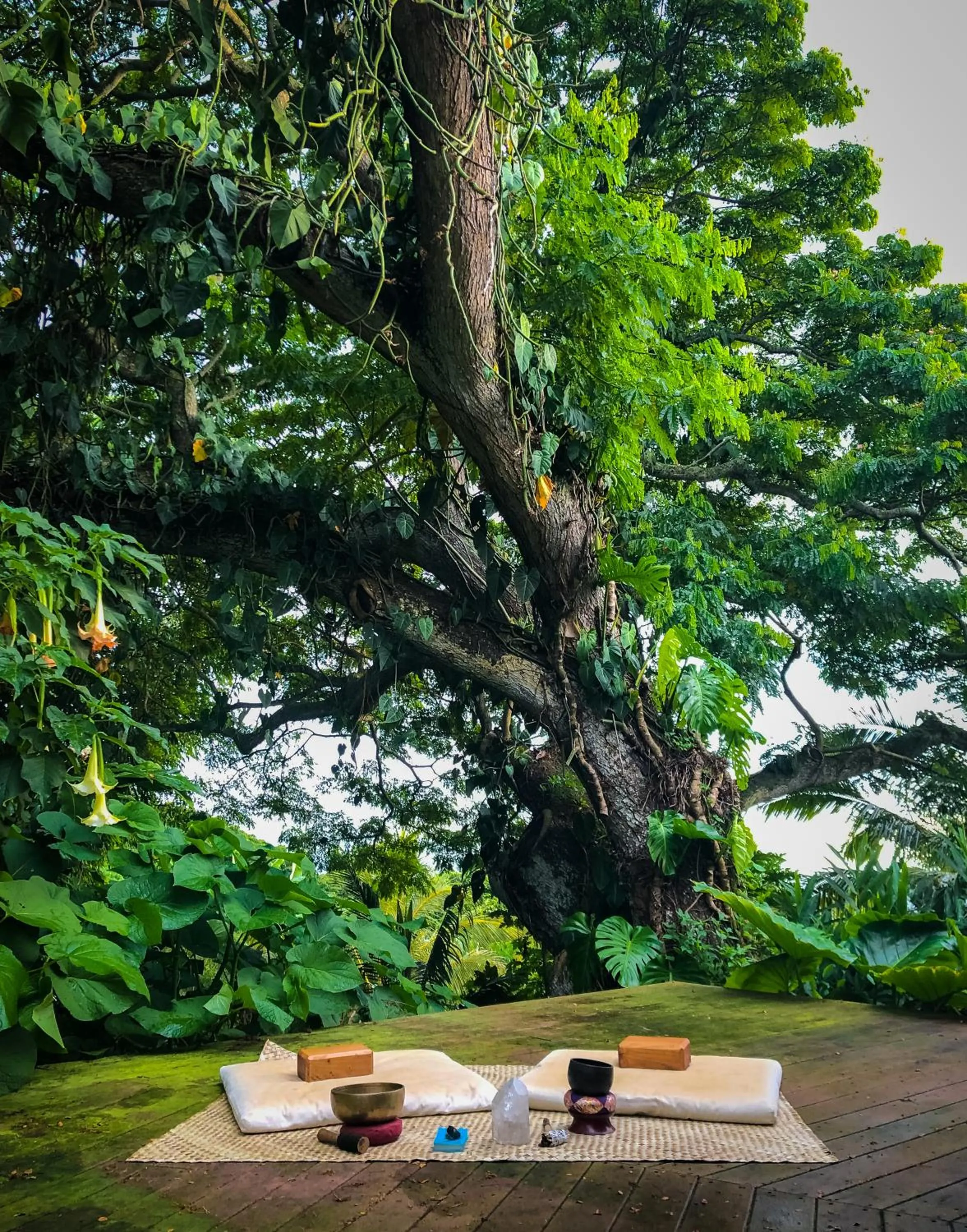 Patio in Gingerhill Farm Retreat