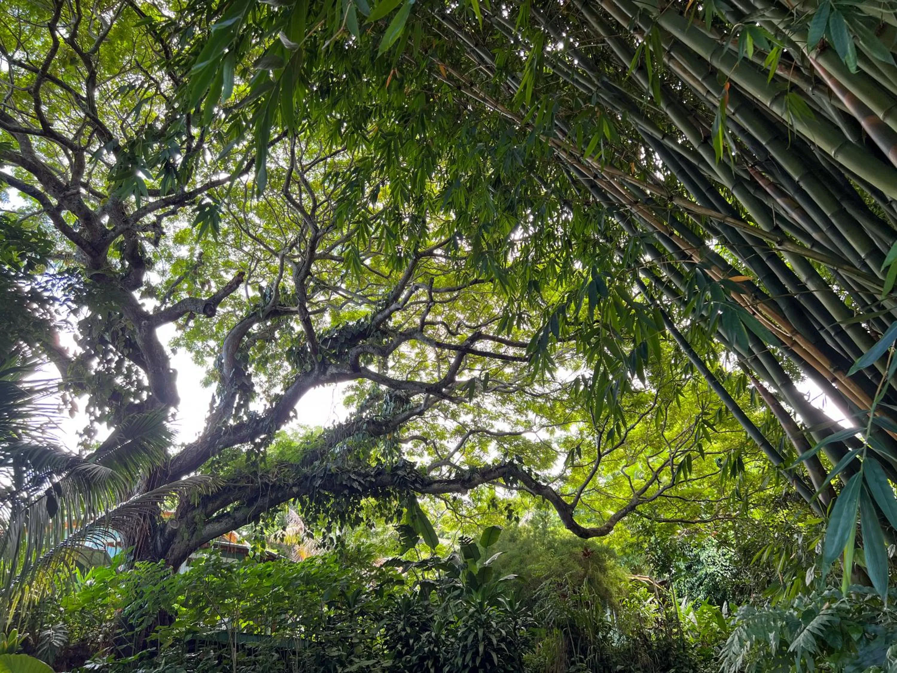 Natural landscape in Gingerhill Farm Retreat