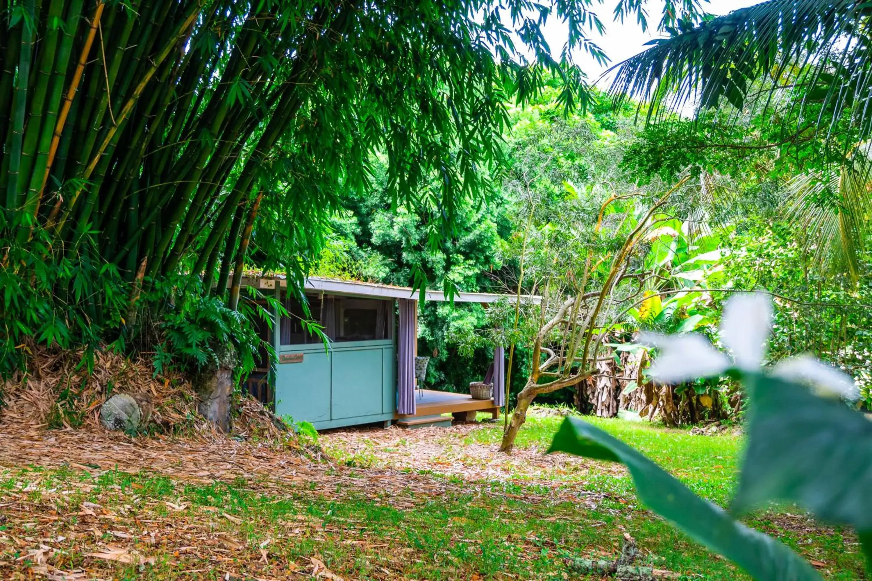 Cottage in Gingerhill Farm Retreat Cottage in Gingerhill Farm Retreat