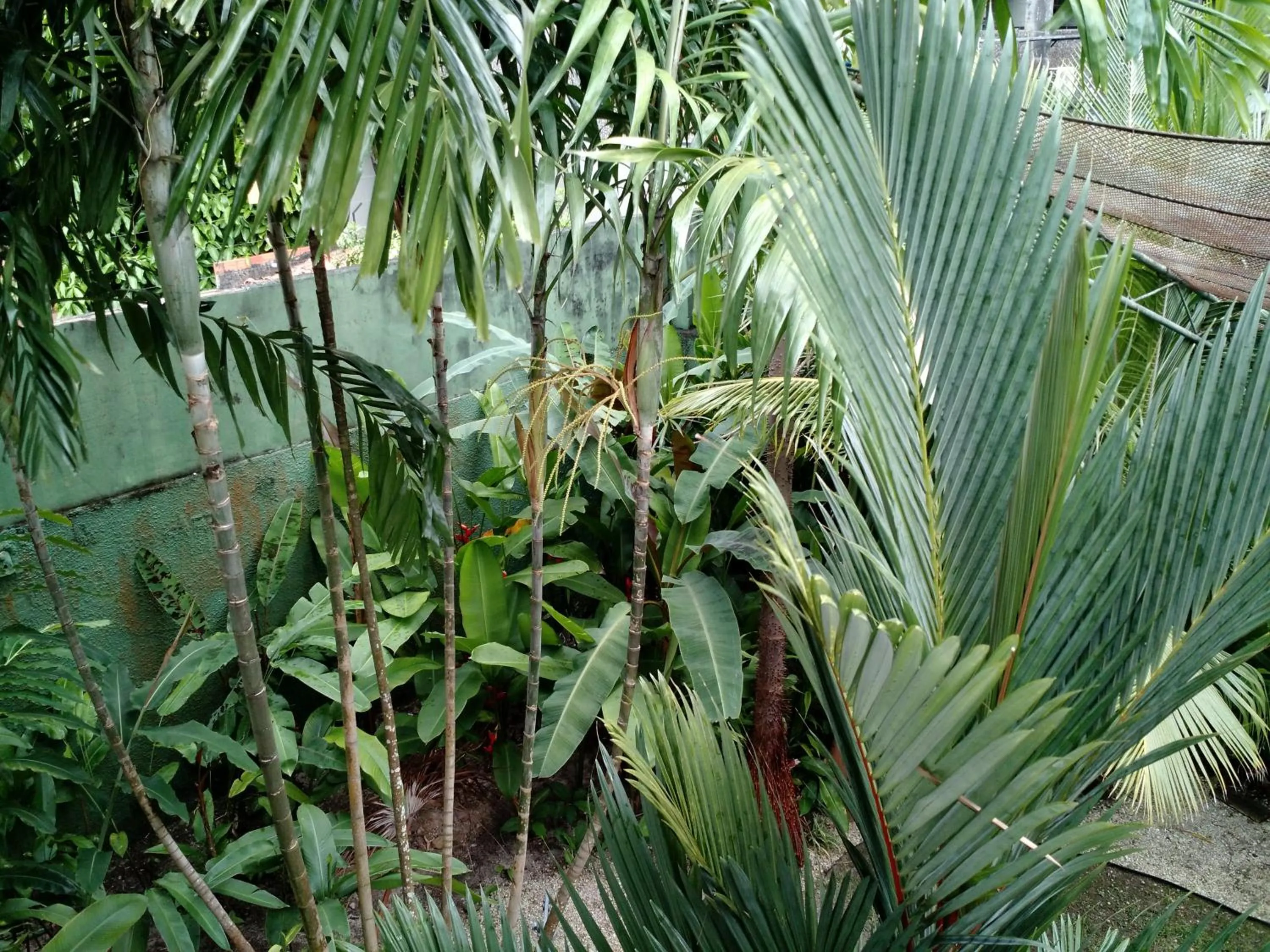 Other in Ecopousada Miriti