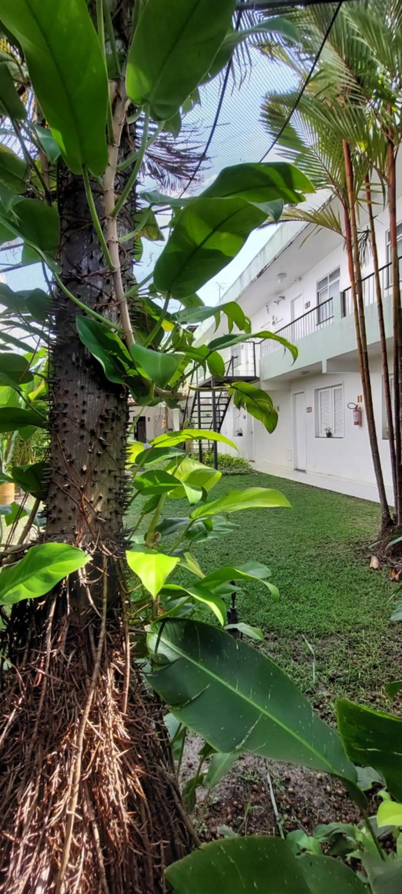 Garden view in Ecopousada Miriti