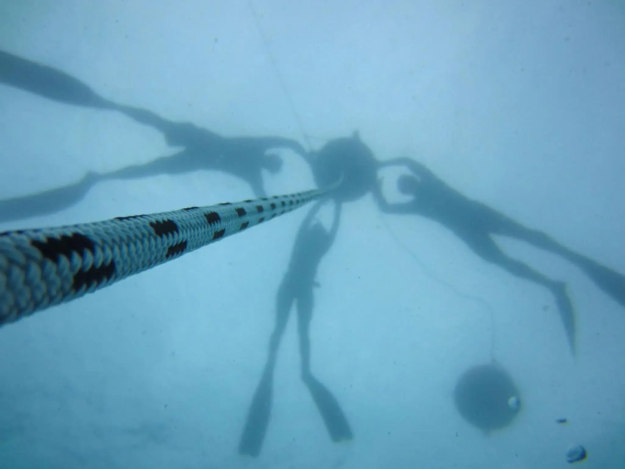 Diving in Mantaray Island Resort Diving in Mantaray Island Resort