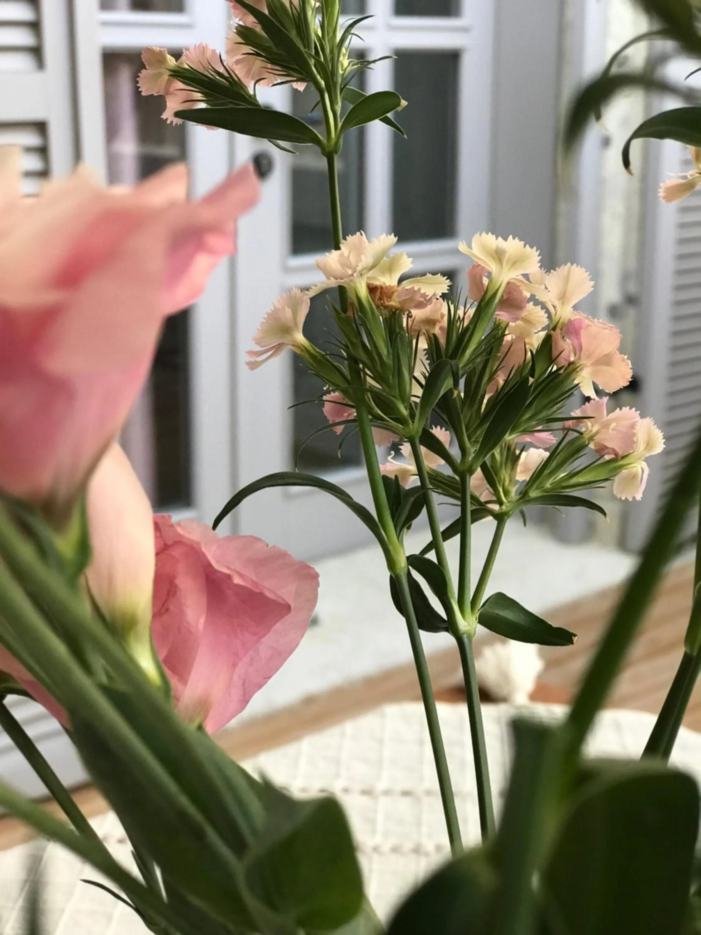 Summer in Çona Otel