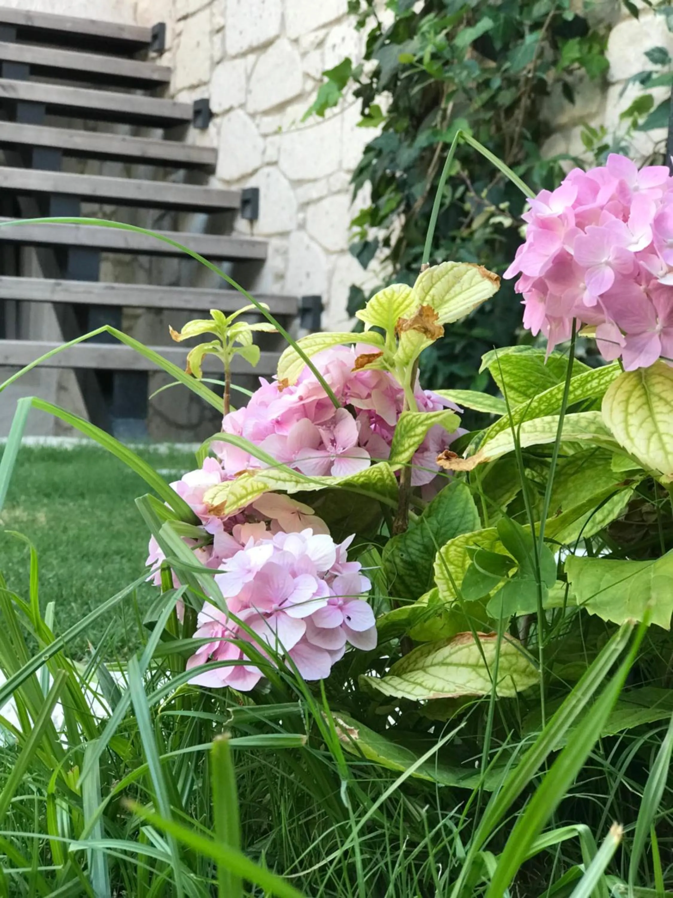 Spring in Çona Otel