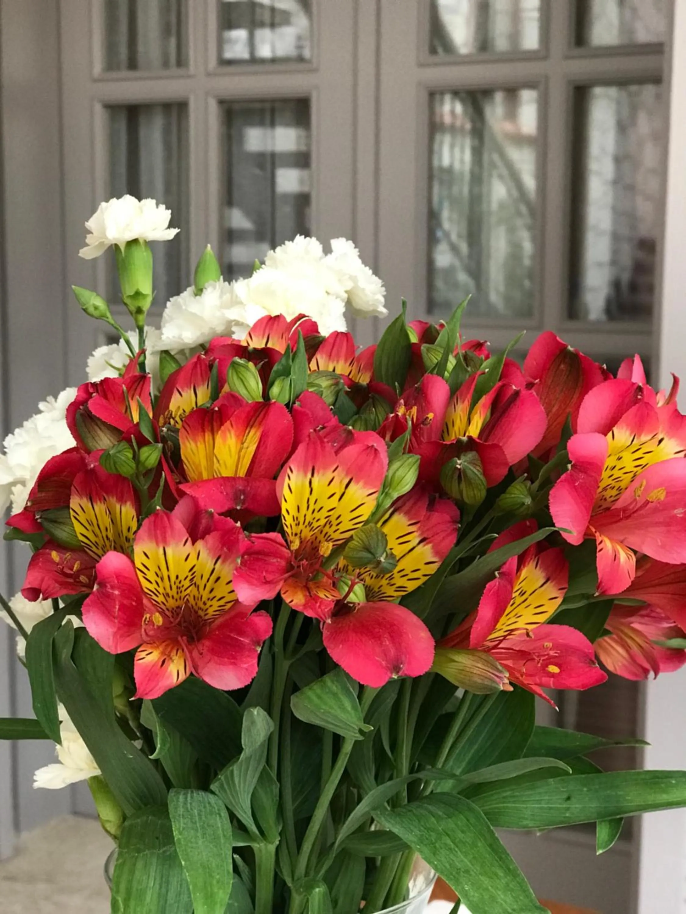 Garden in Çona Otel