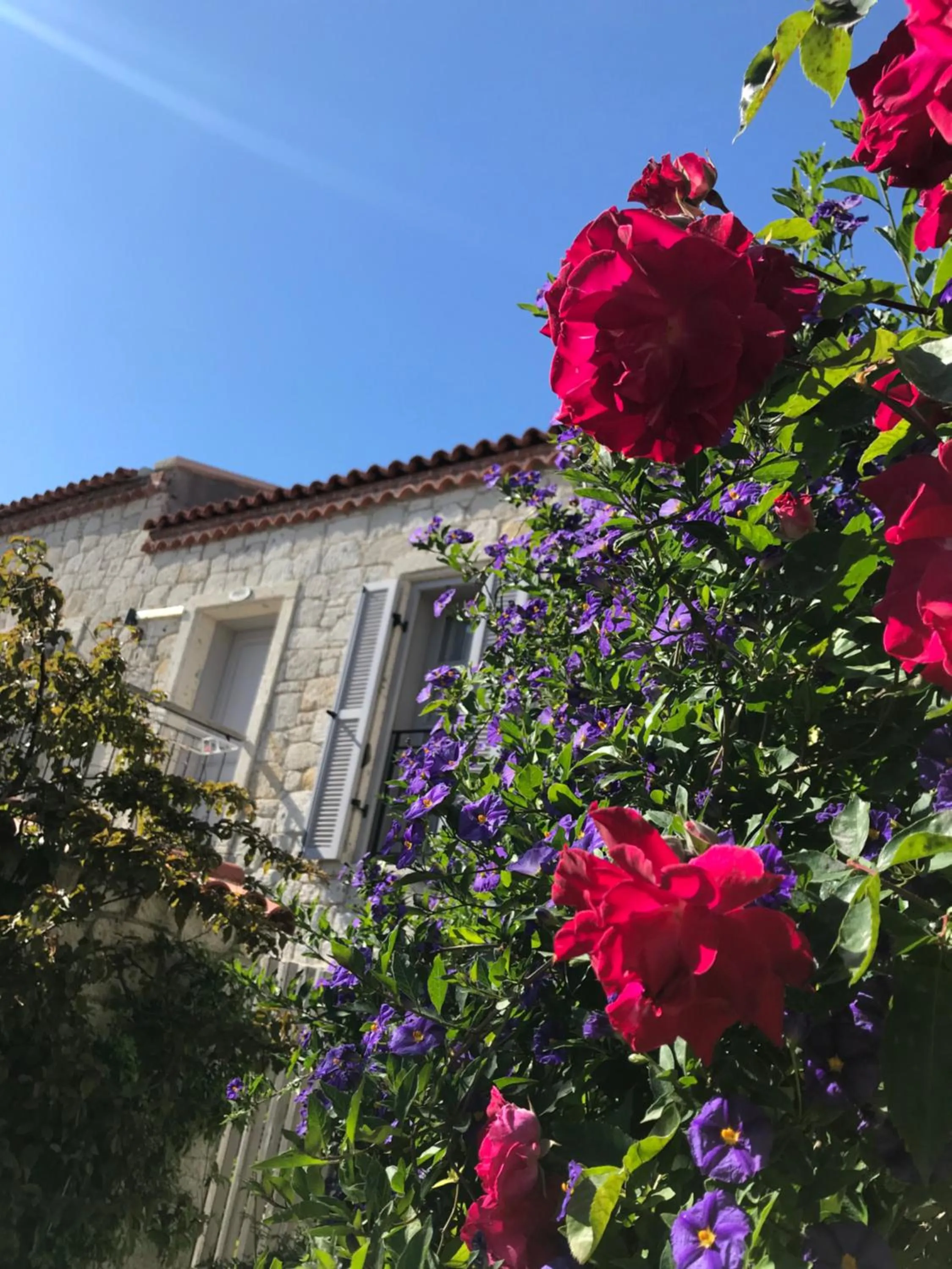 Property building in Çona Otel