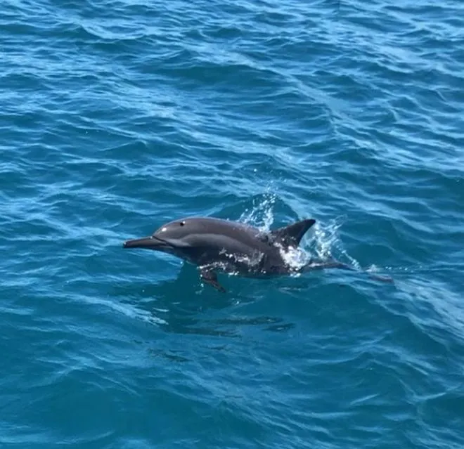 Volivoli Beach Resort