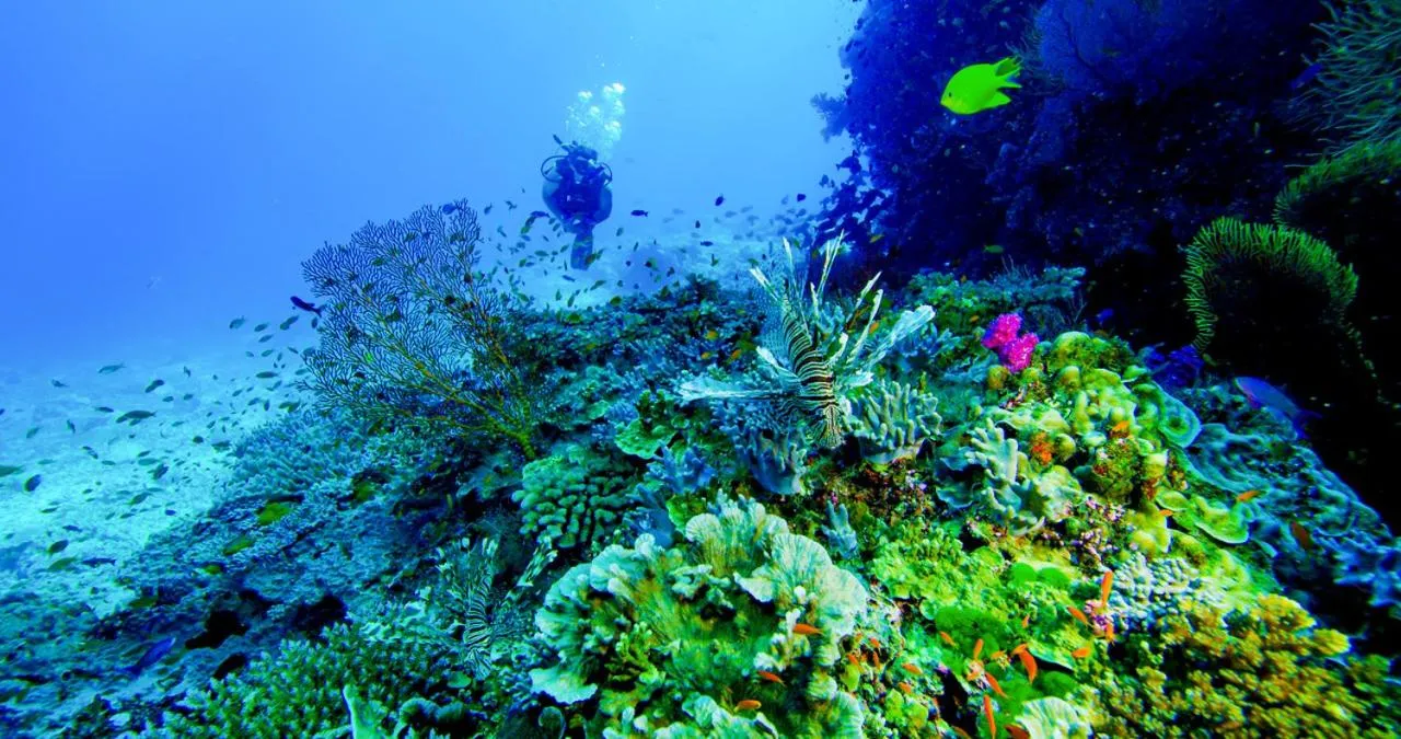 Volivoli Beach Resort