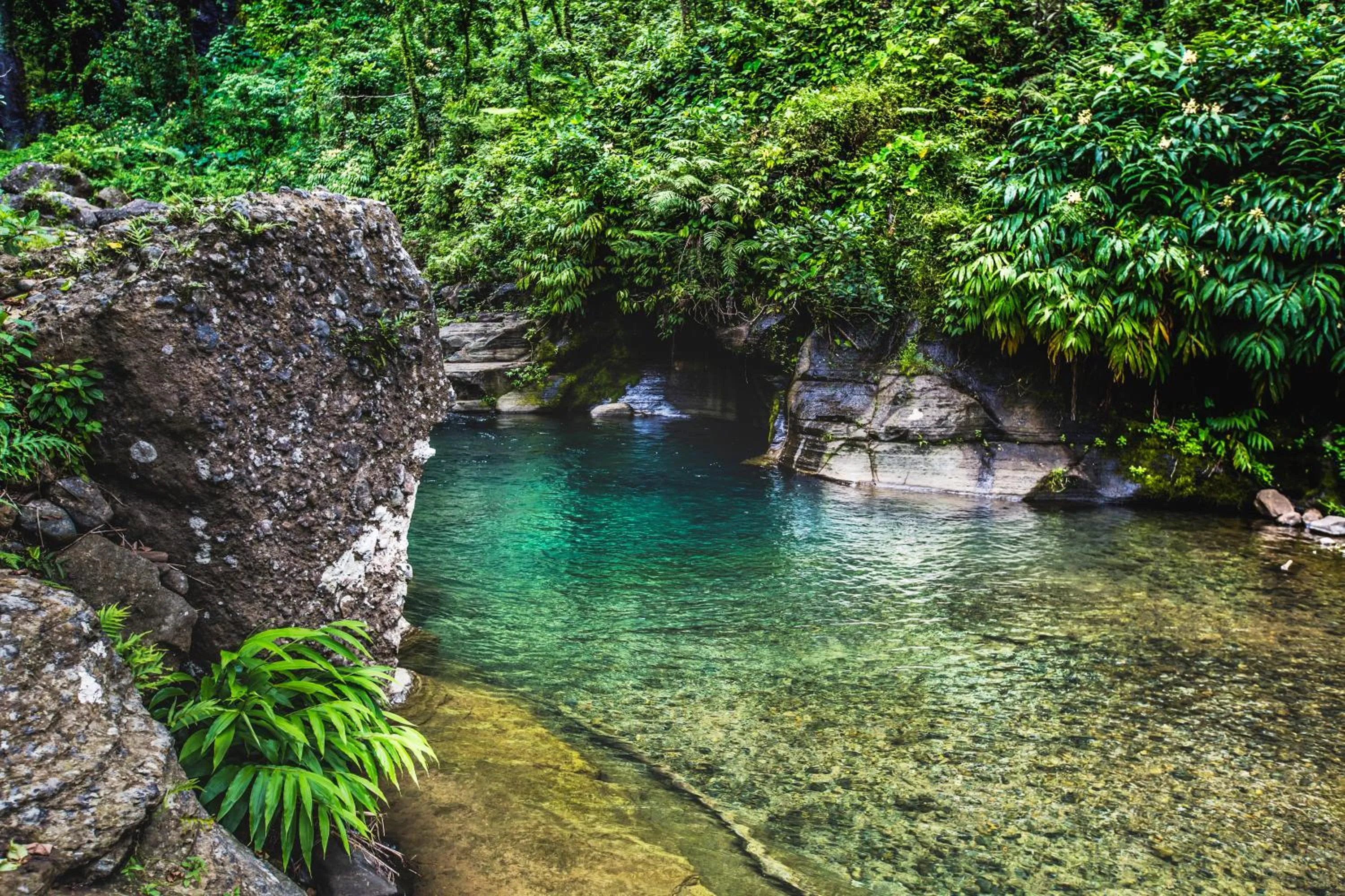 Volivoli Beach Resort