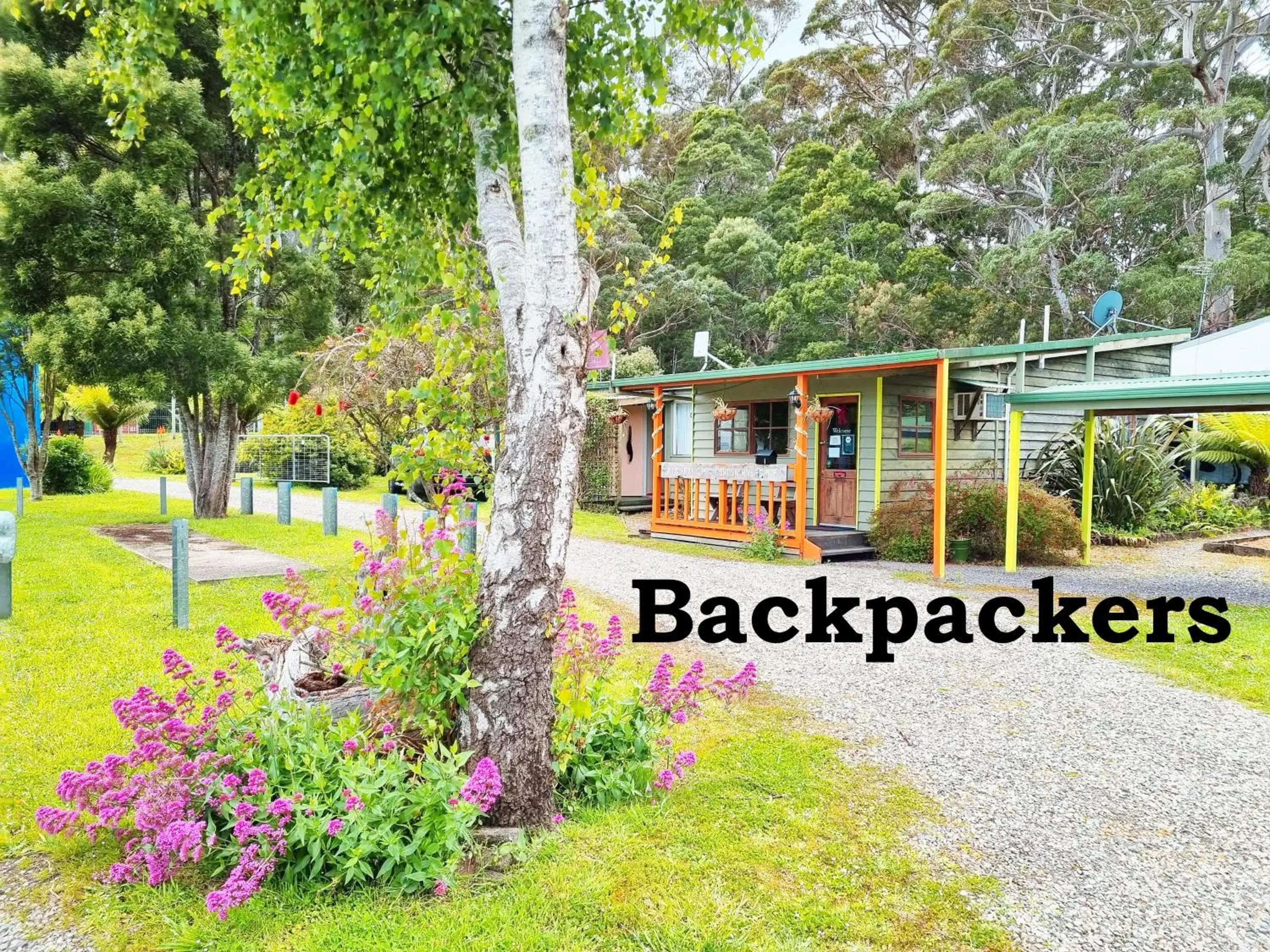 Bed in 4-Bed Female Dormitory Room in Strahan Retreat Holiday Park Bed in 4-Bed Female Dormitory Room in Strahan Retreat Holiday Park