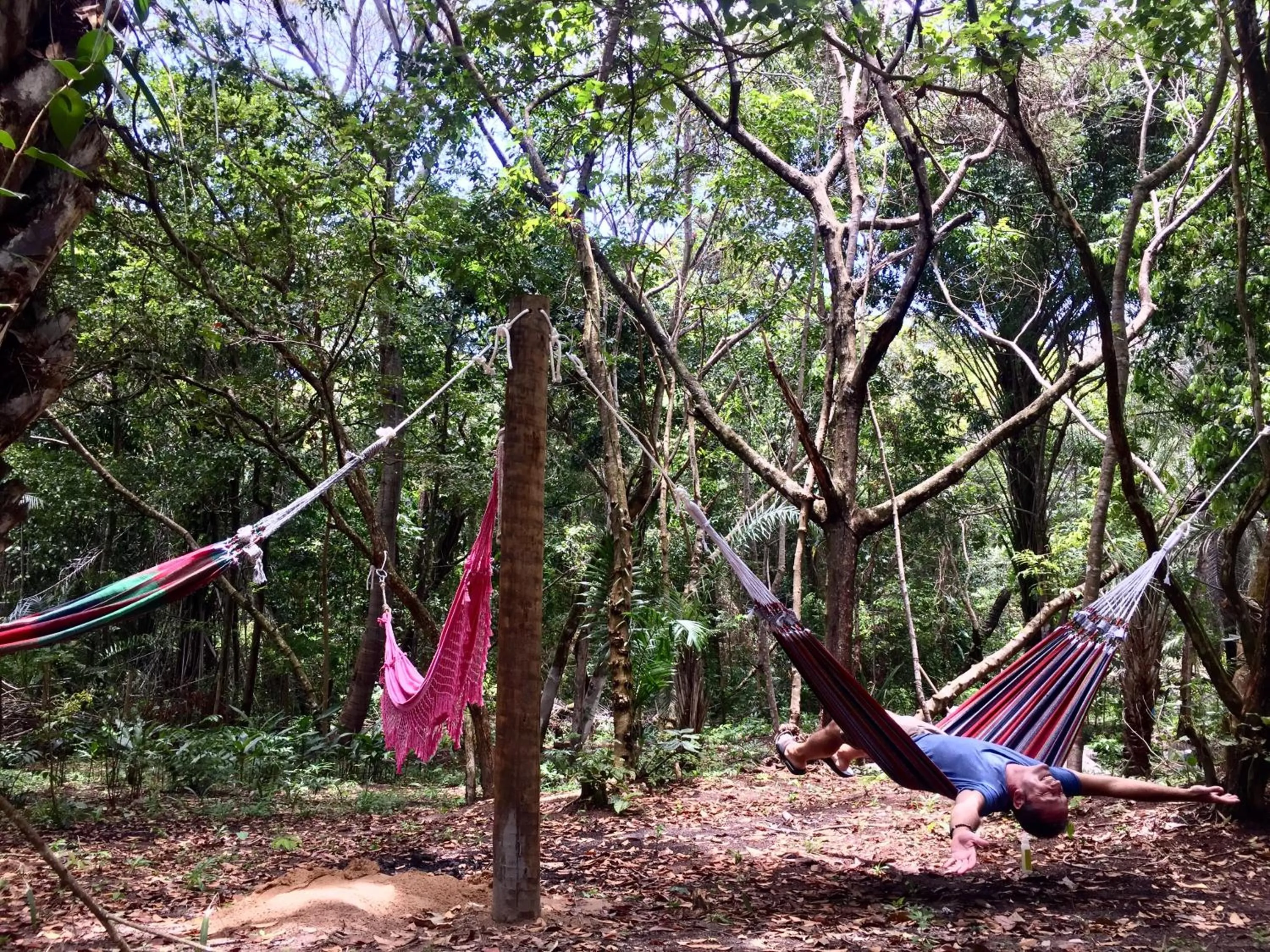 Garden in Recanto dos Pássaros Zen Apartamentos em meio de Natureza