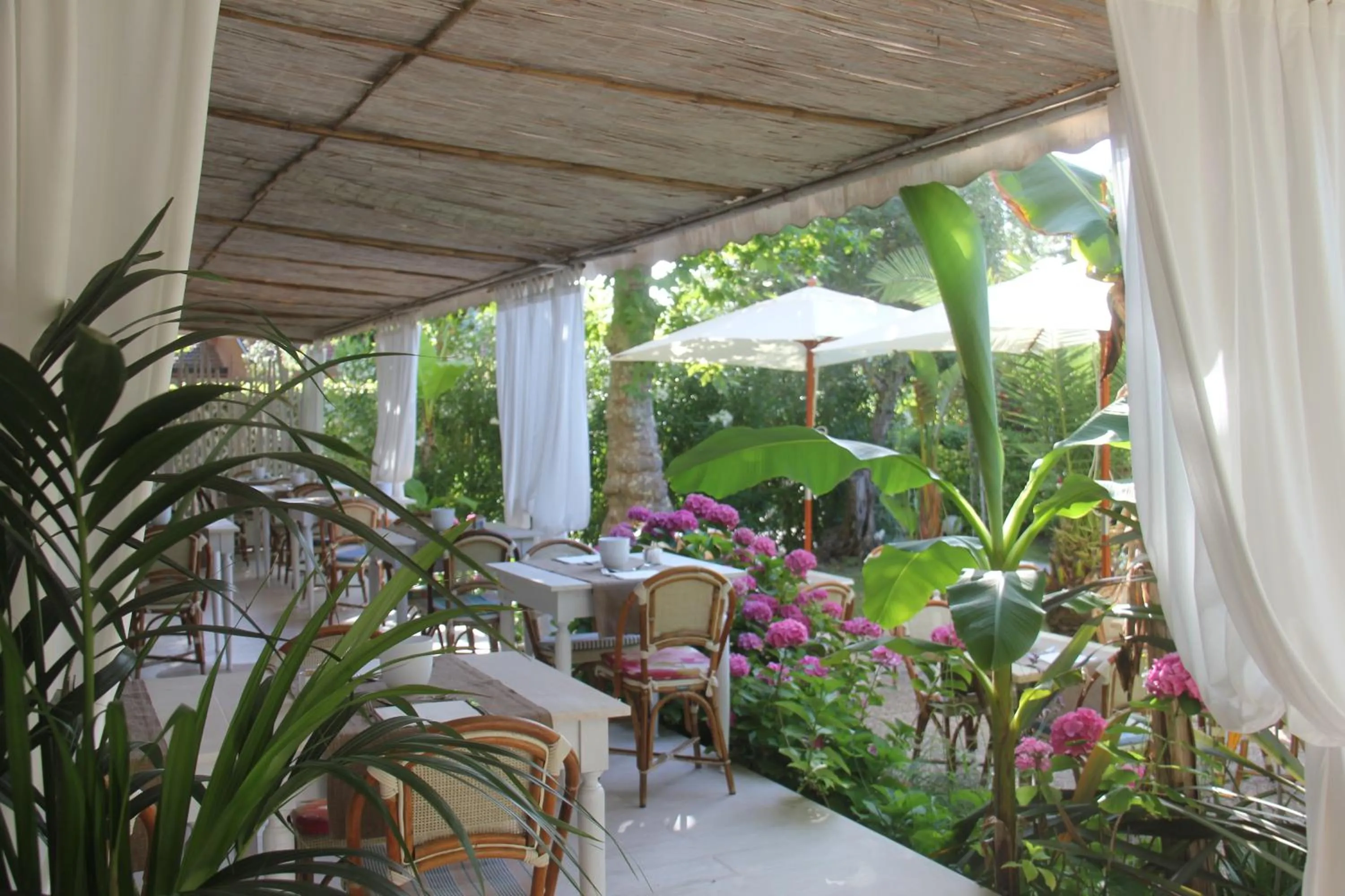 Garden in Hotel Bijou