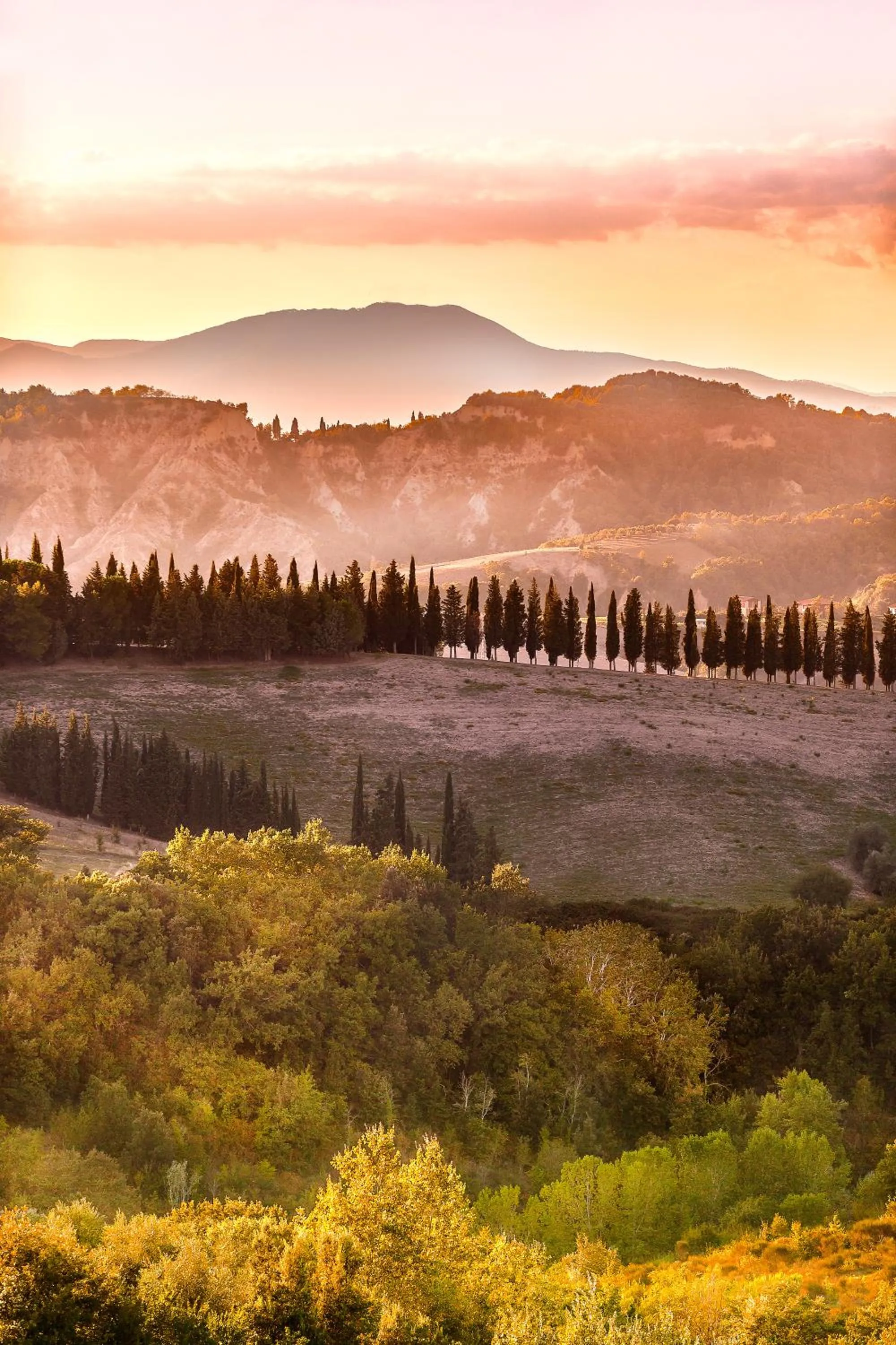 Natural landscape in Castellare Di Tonda