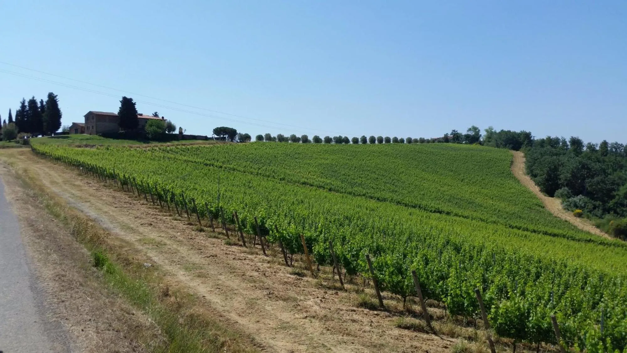 Natural landscape in Castellare Di Tonda
