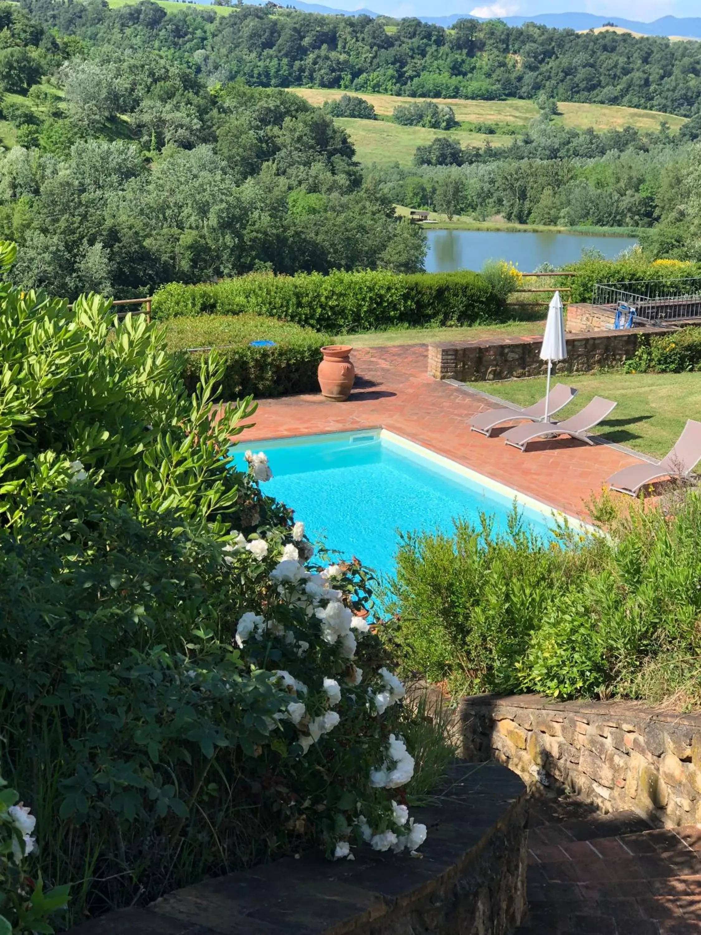 Pool view in Castellare Di Tonda Pool view in Castellare Di Tonda