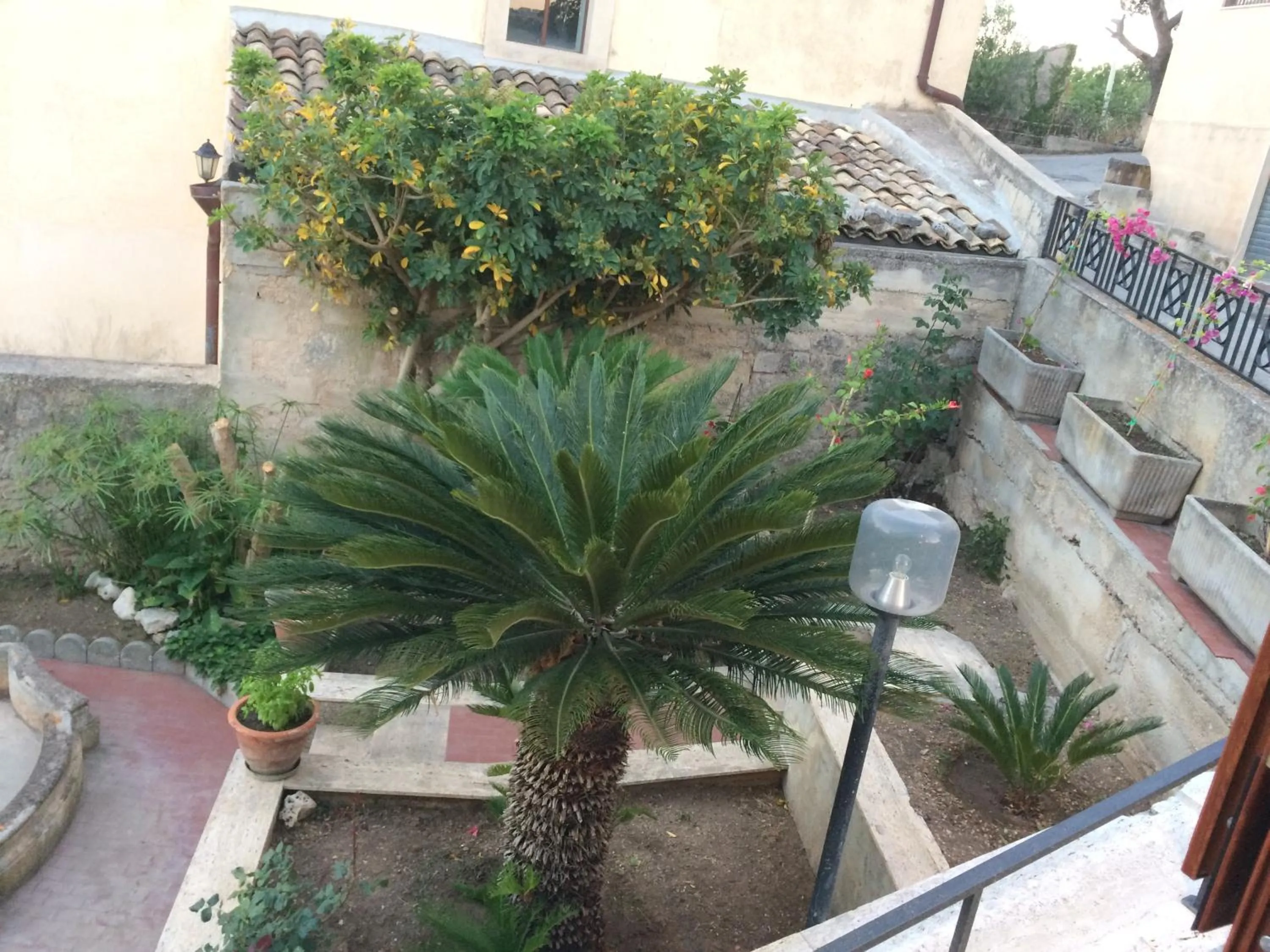 View (from property/room) in B&B La Terrazza Dell'Itria