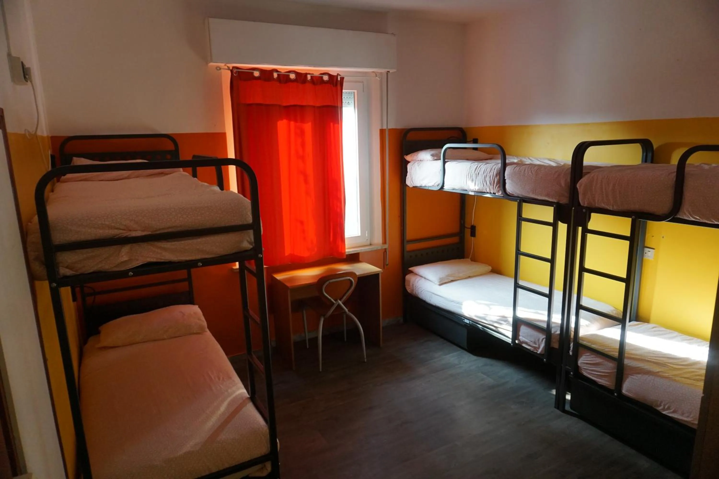 Photo of the whole room, Bed in Sunflower City Student Hostel & Bar