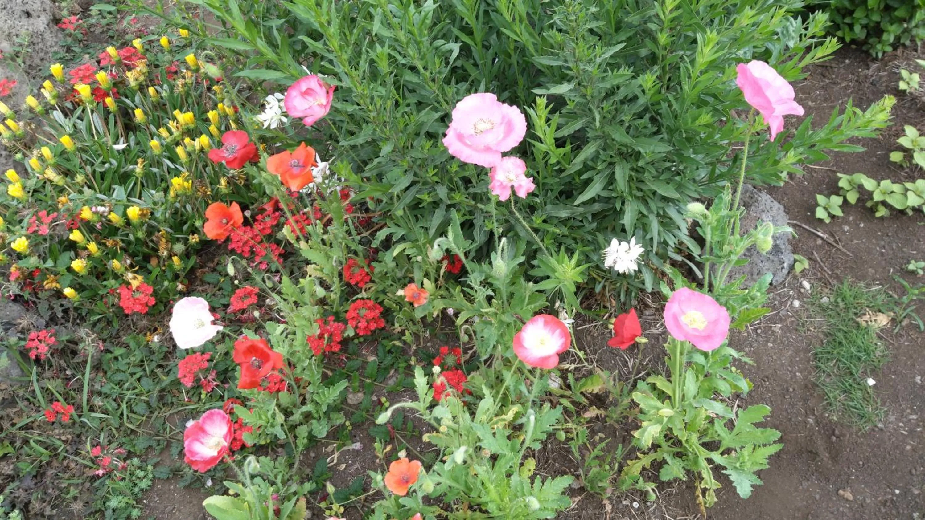 Blue Island Guesthouse