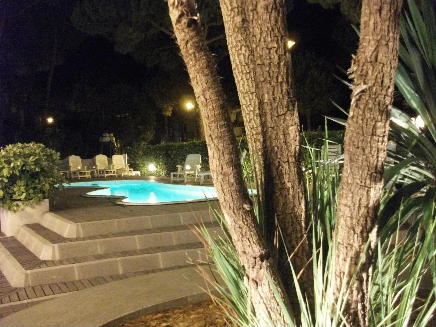 Night, Swimming Pool in Hotel Kiss