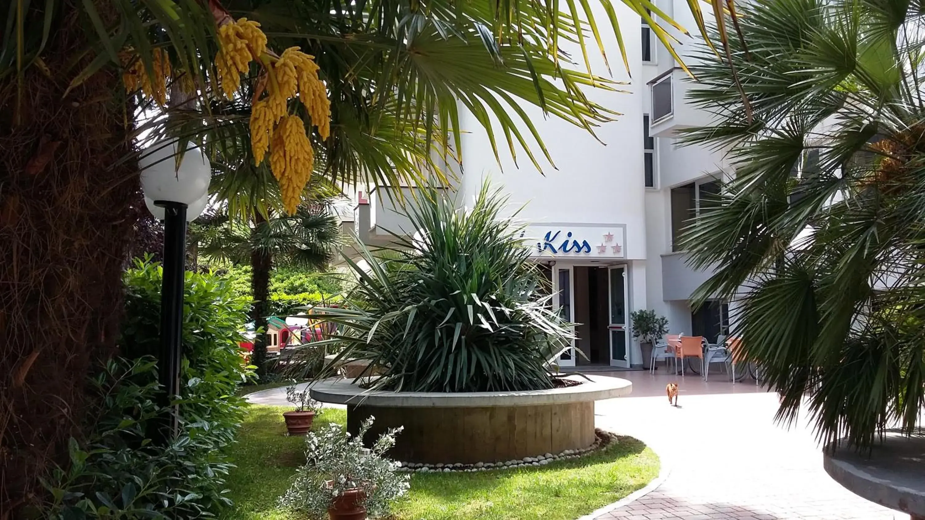Property Building in Hotel Kiss
