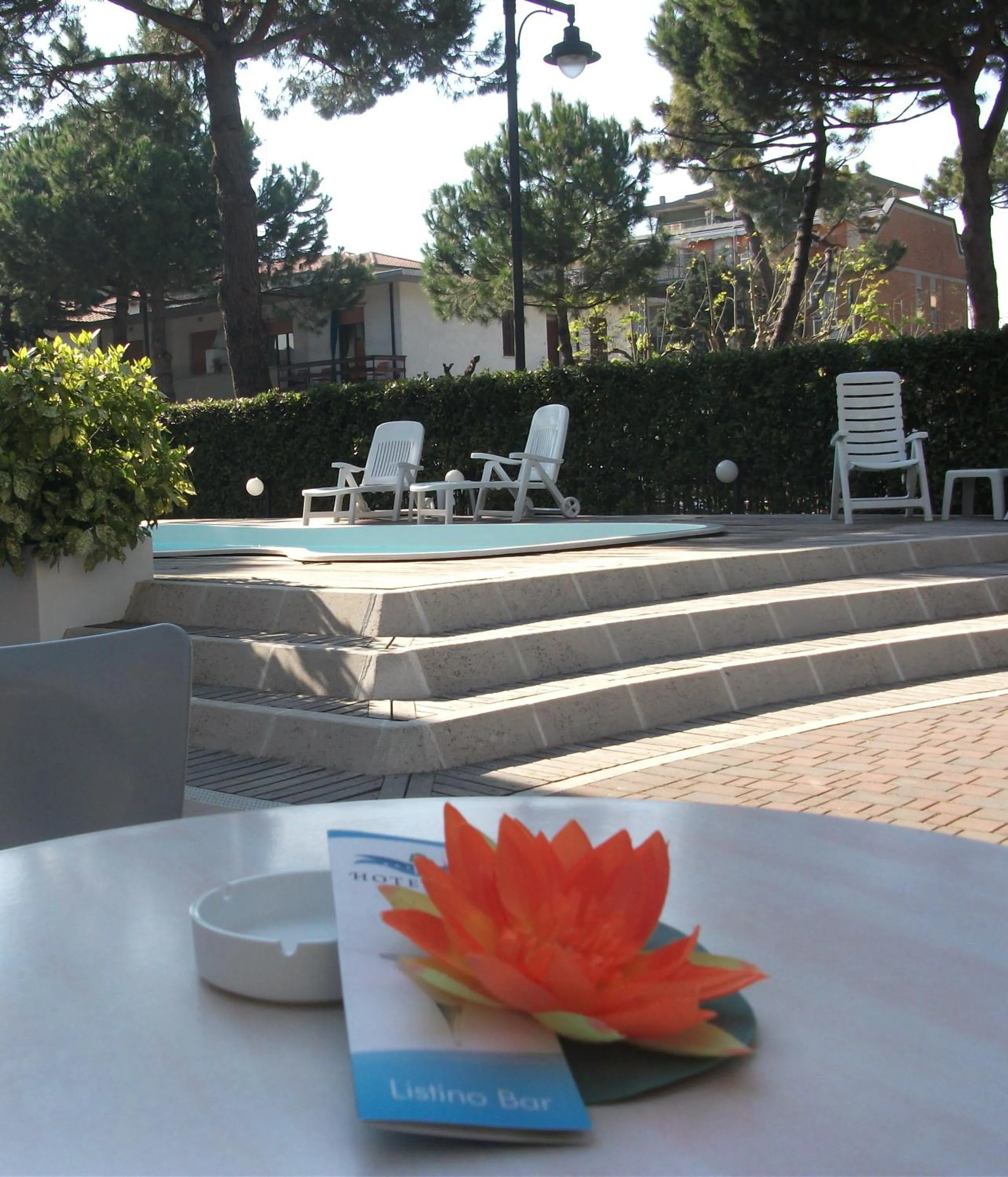 Swimming pool in Hotel Kiss