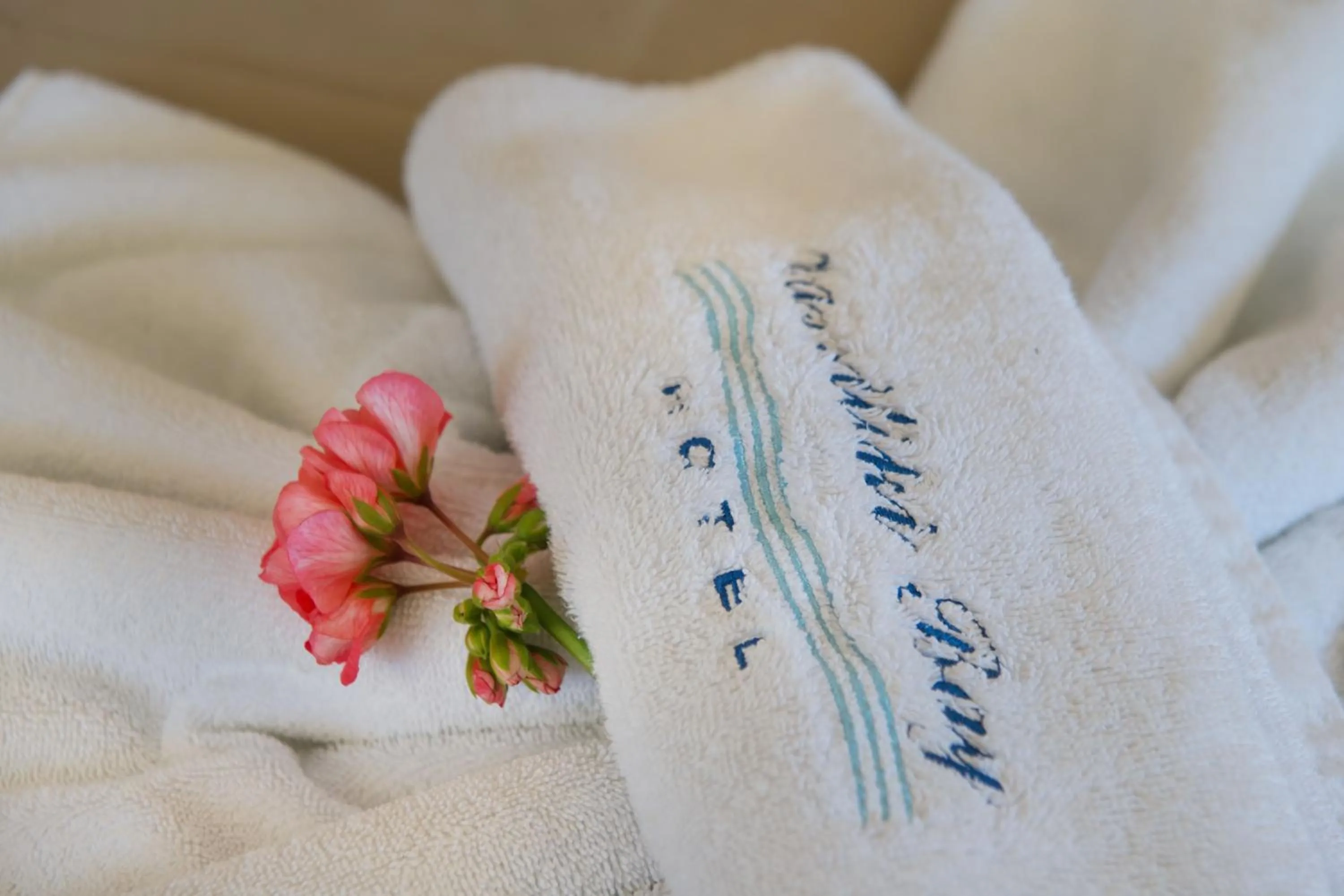 Other in Vassiliki Bay Hotel