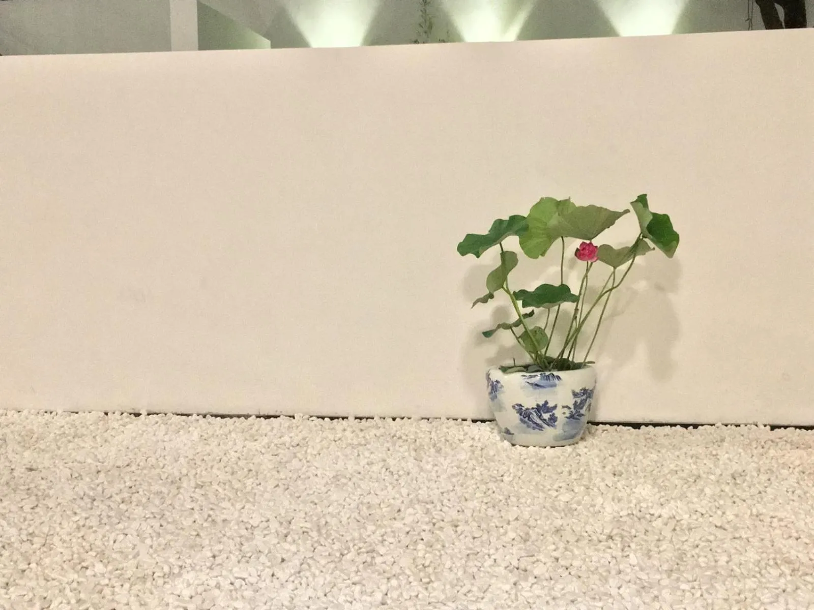 Garden in Dayin International Youth Hostel - Oriental Pearl & Lujiazui