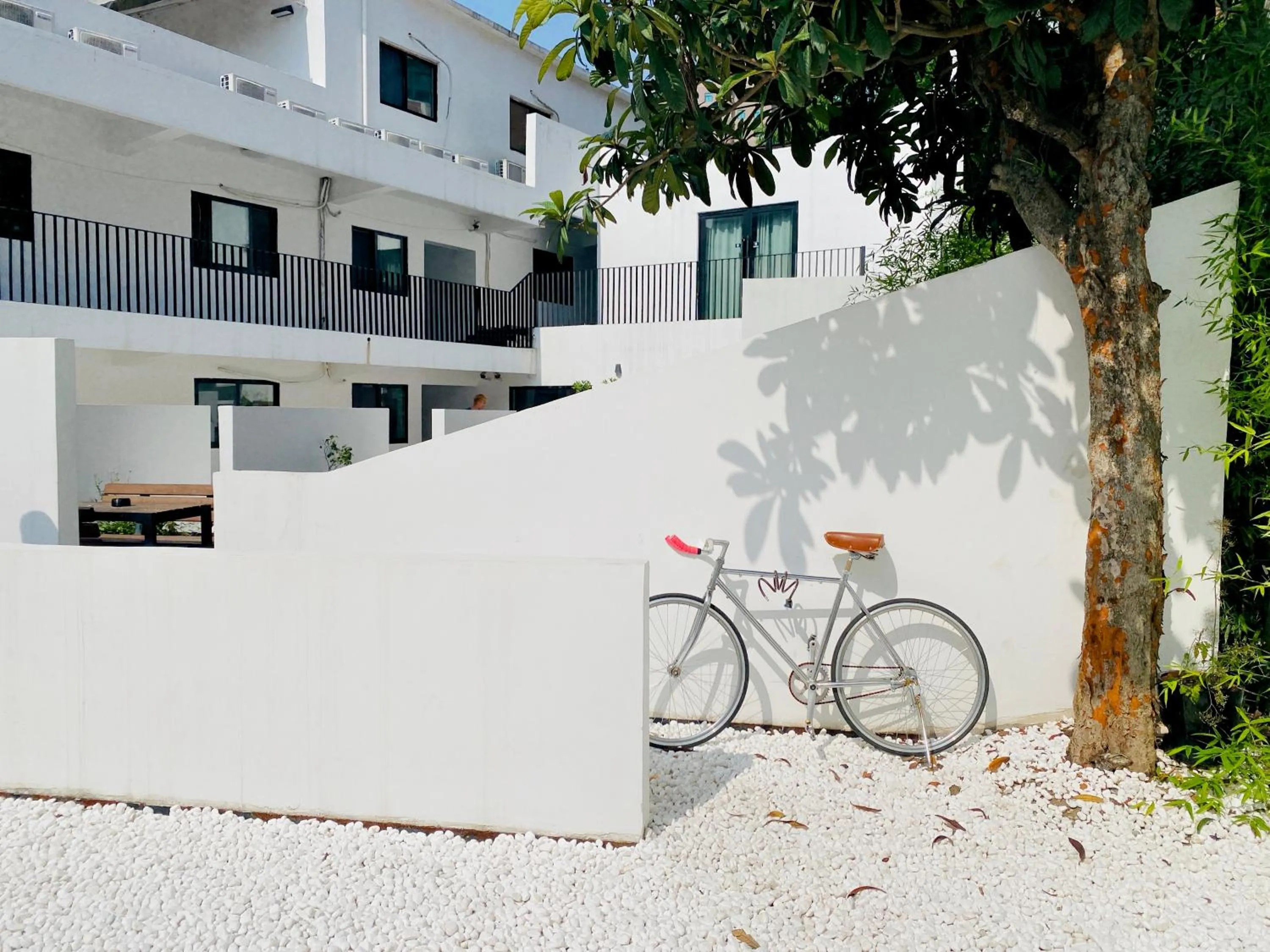 Cycling in Dayin International Youth Hostel - Oriental Pearl & Lujiazui