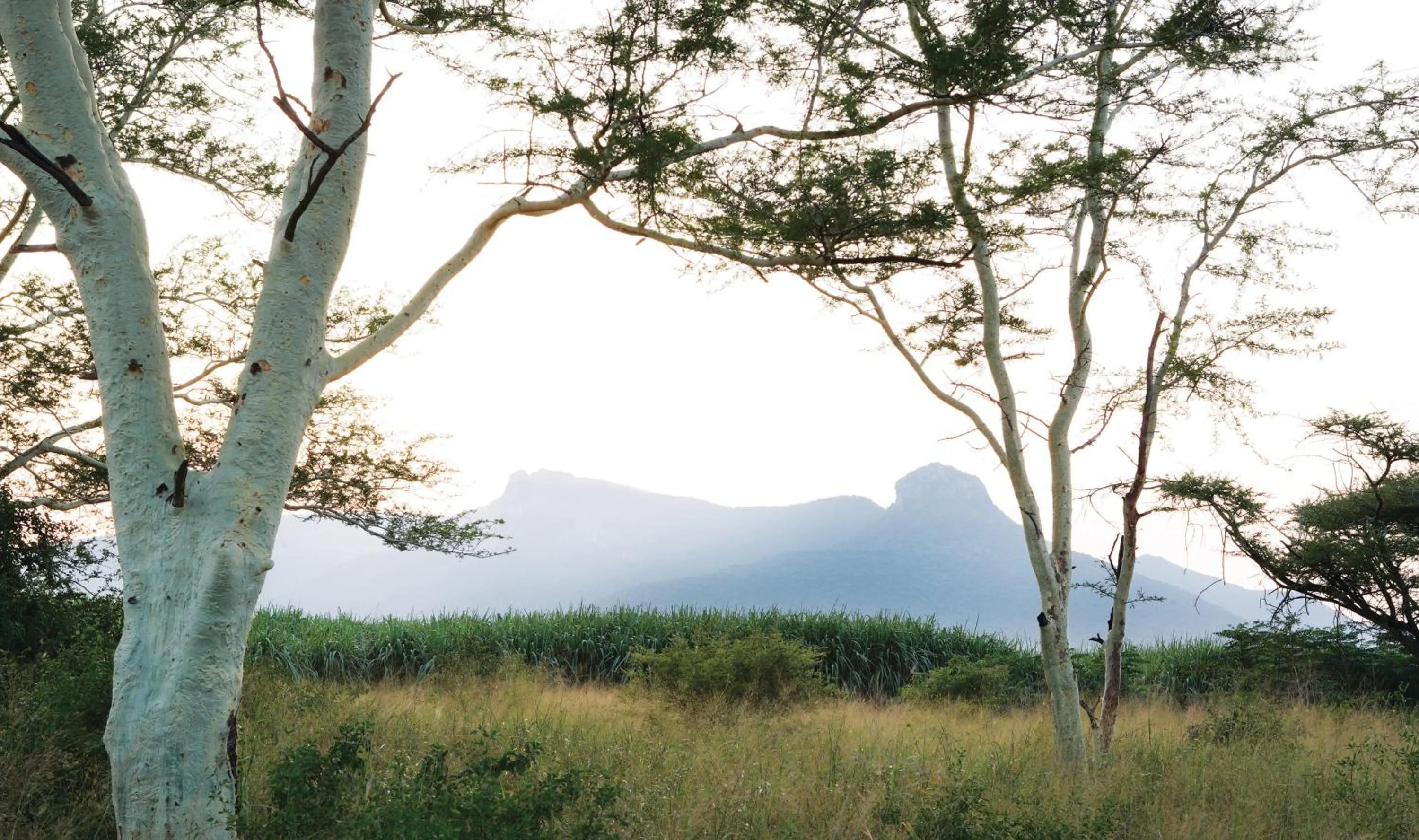 Garden view in Ghost Mountain Inn