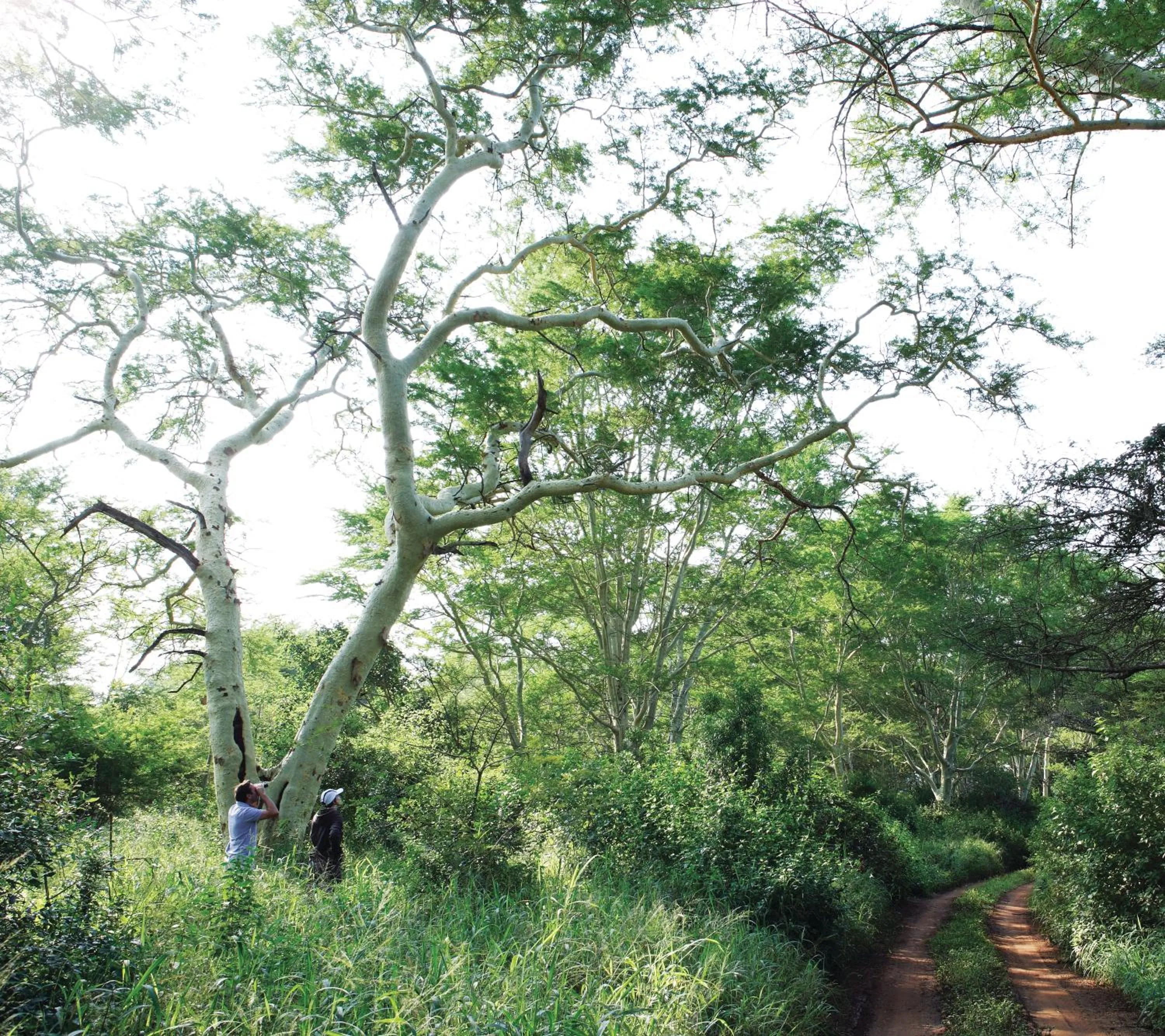 Activities in Ghost Mountain Inn
